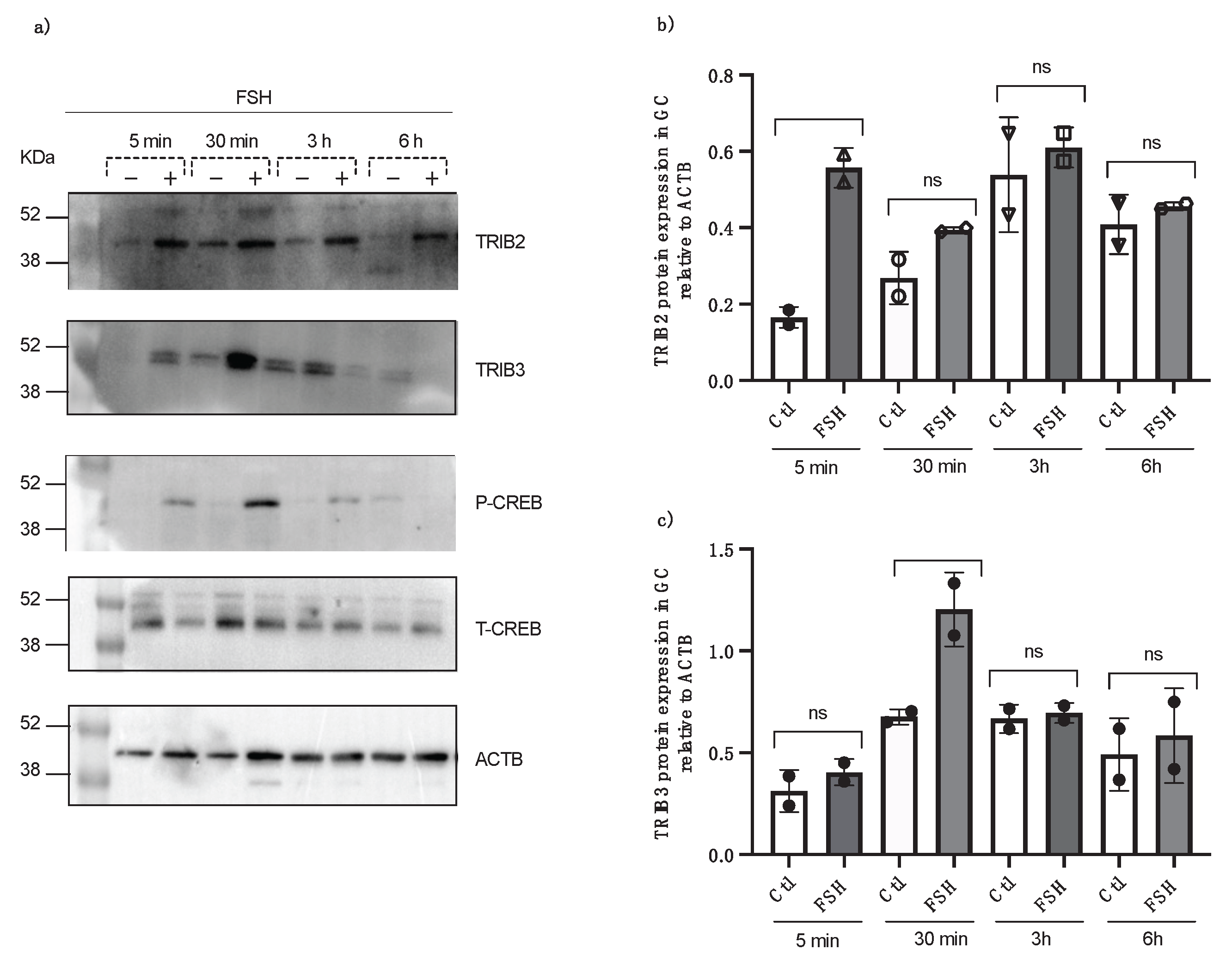 Preprints 169567 g004