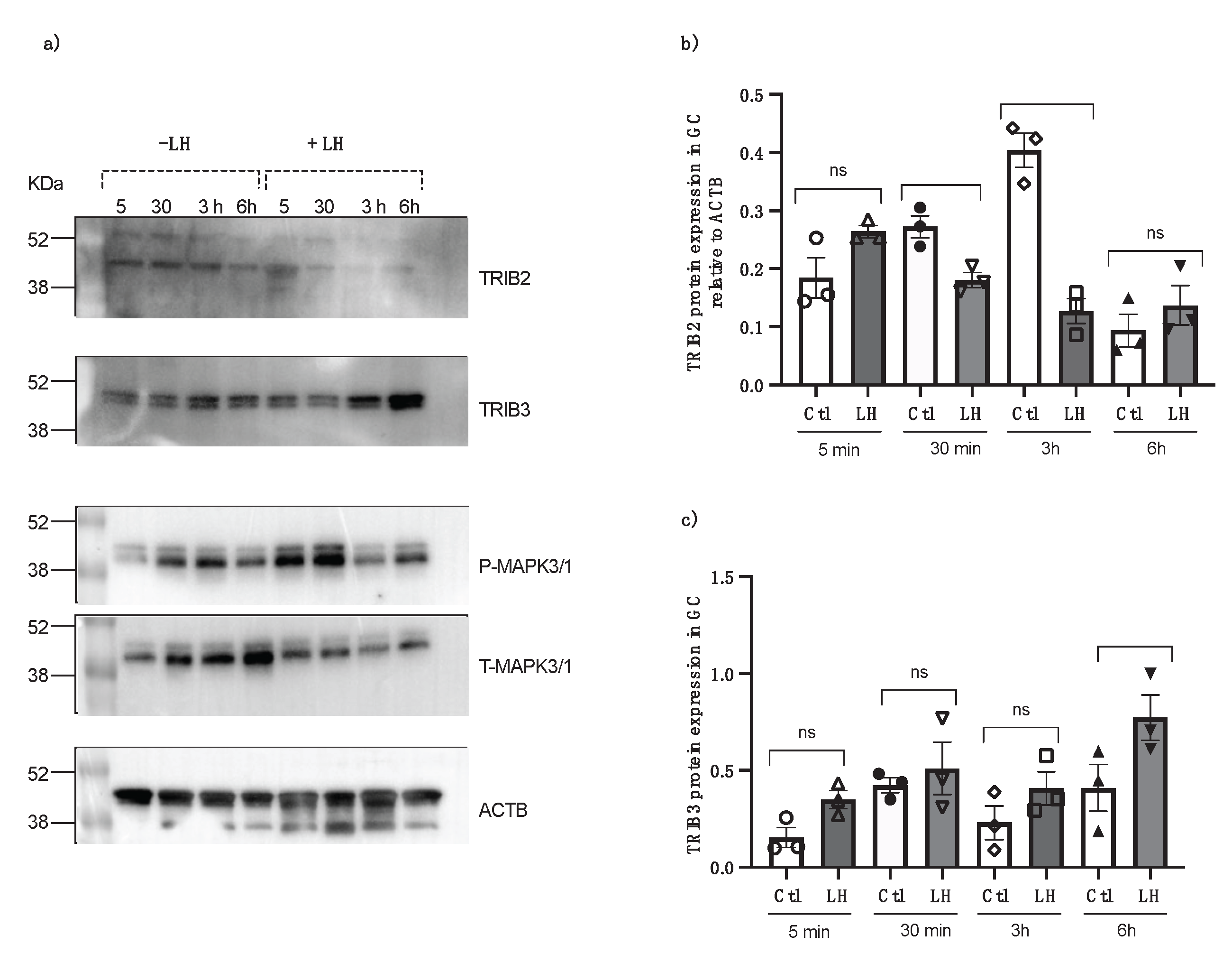 Preprints 169567 g005