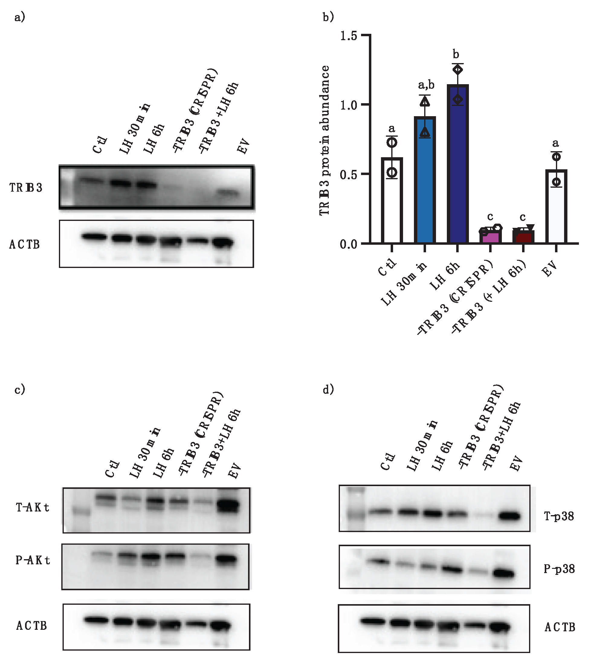 Preprints 169567 g006