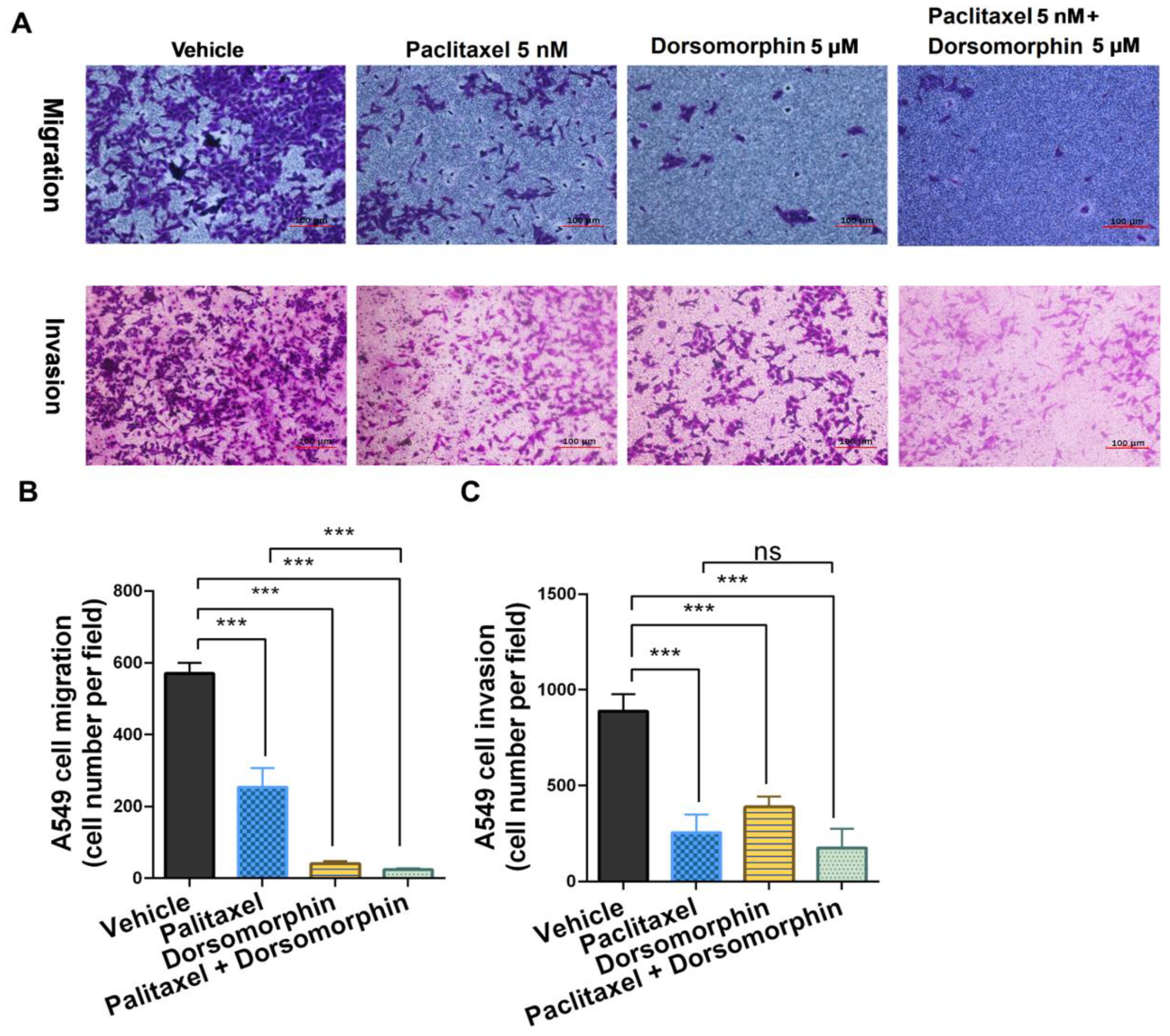 Preprints 223206 g007 Preprints 223206 g007