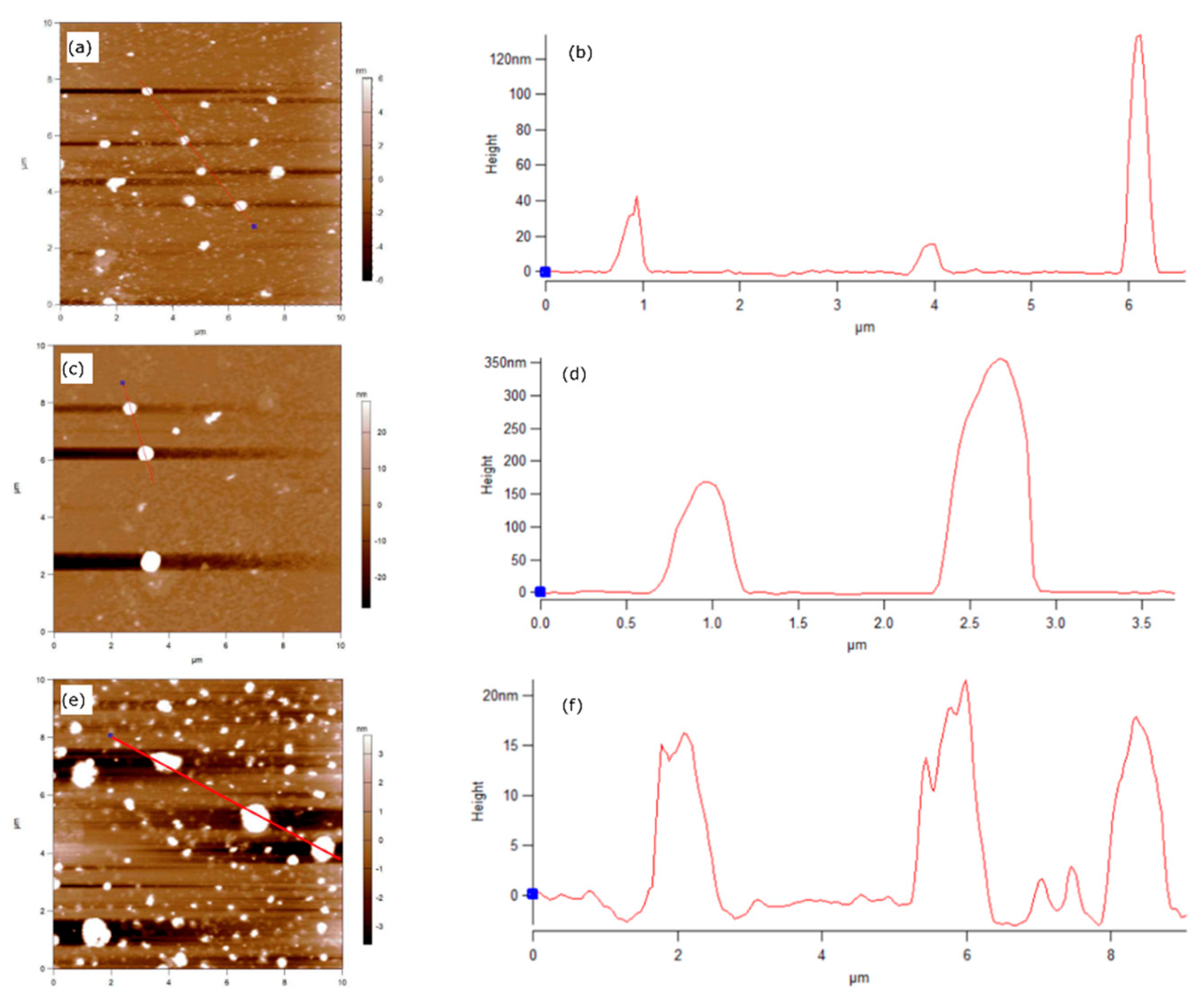 Preprints 153500 g003