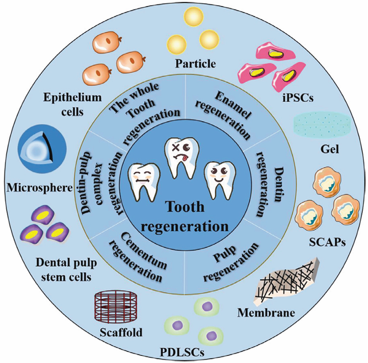 Preprints 145830 i001