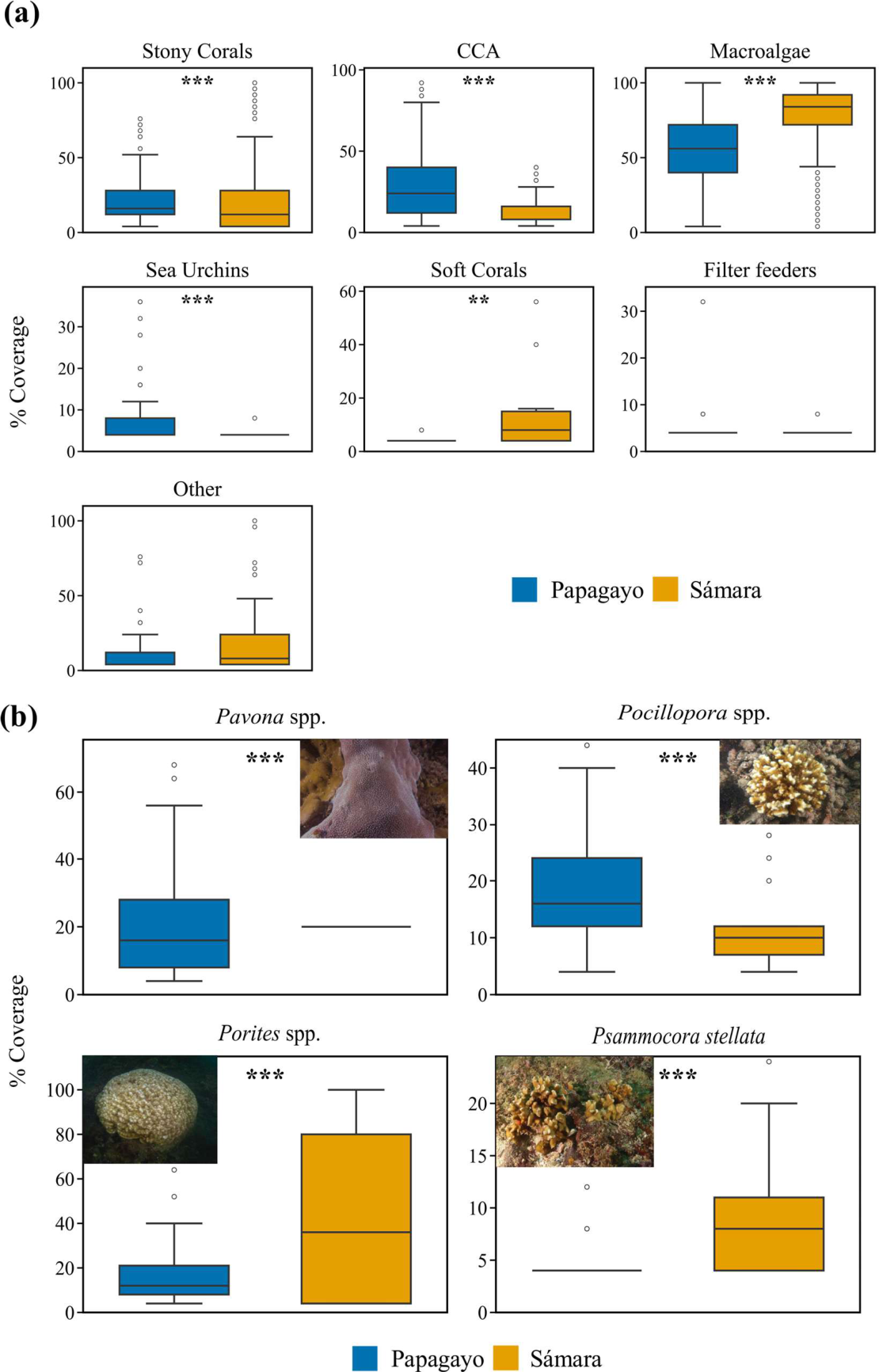 Preprints 214760 g004