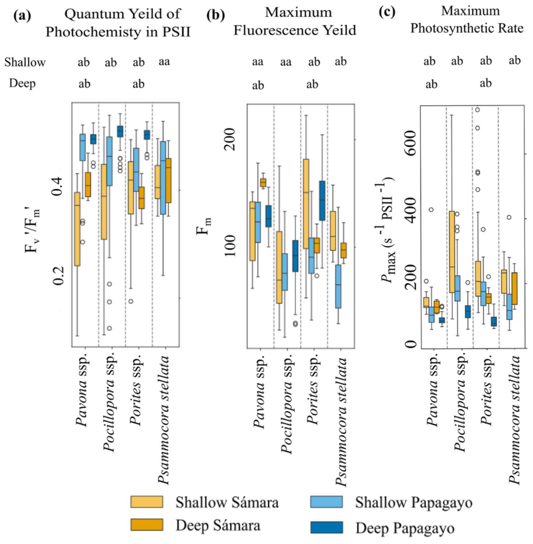 Preprints 214760 g005