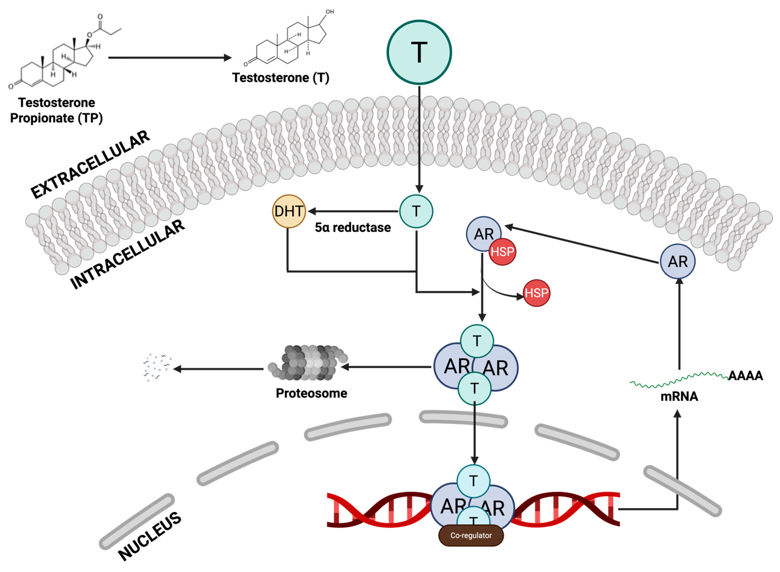 Preprints 193200 g001