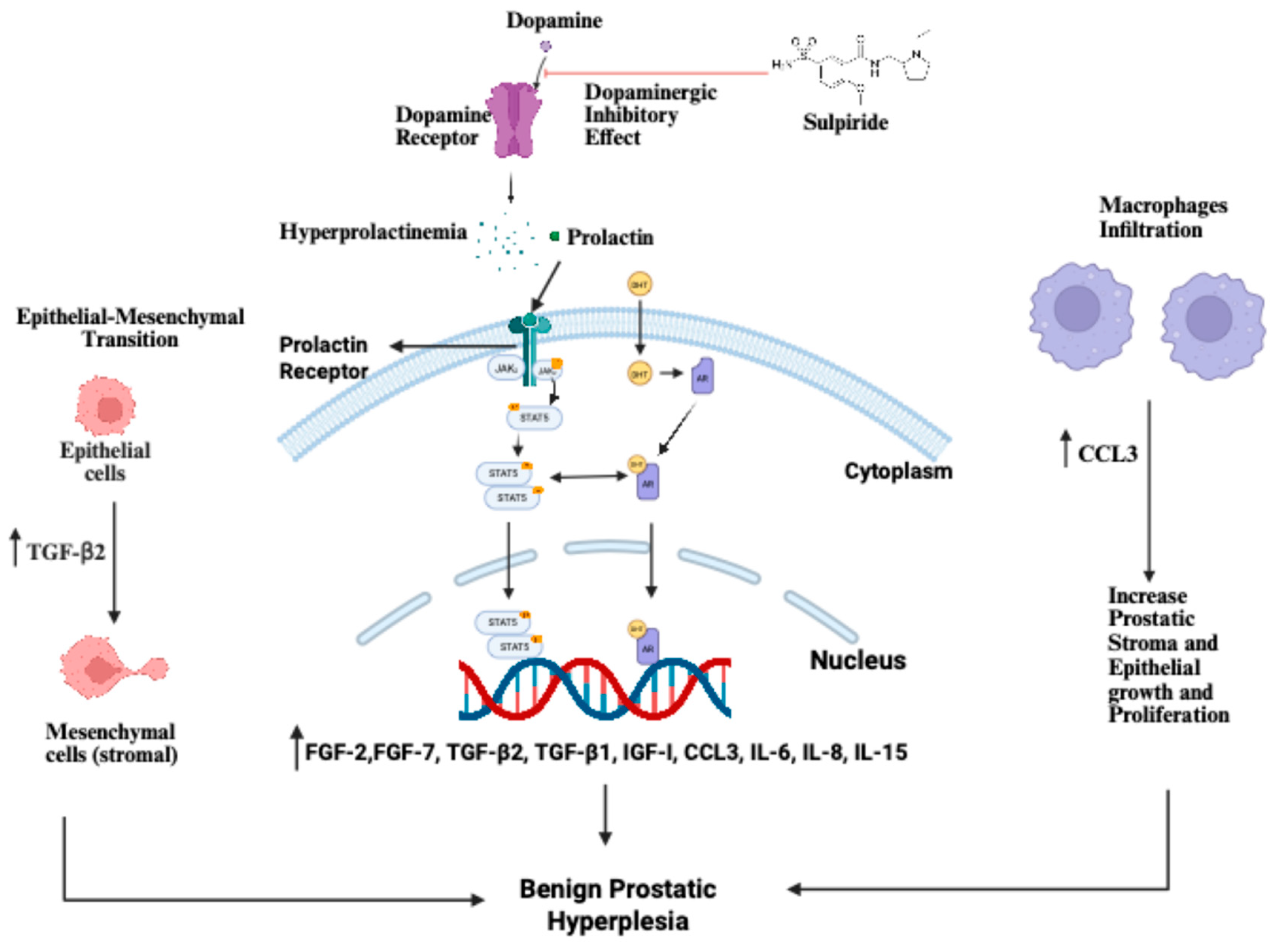 Preprints 193200 g002