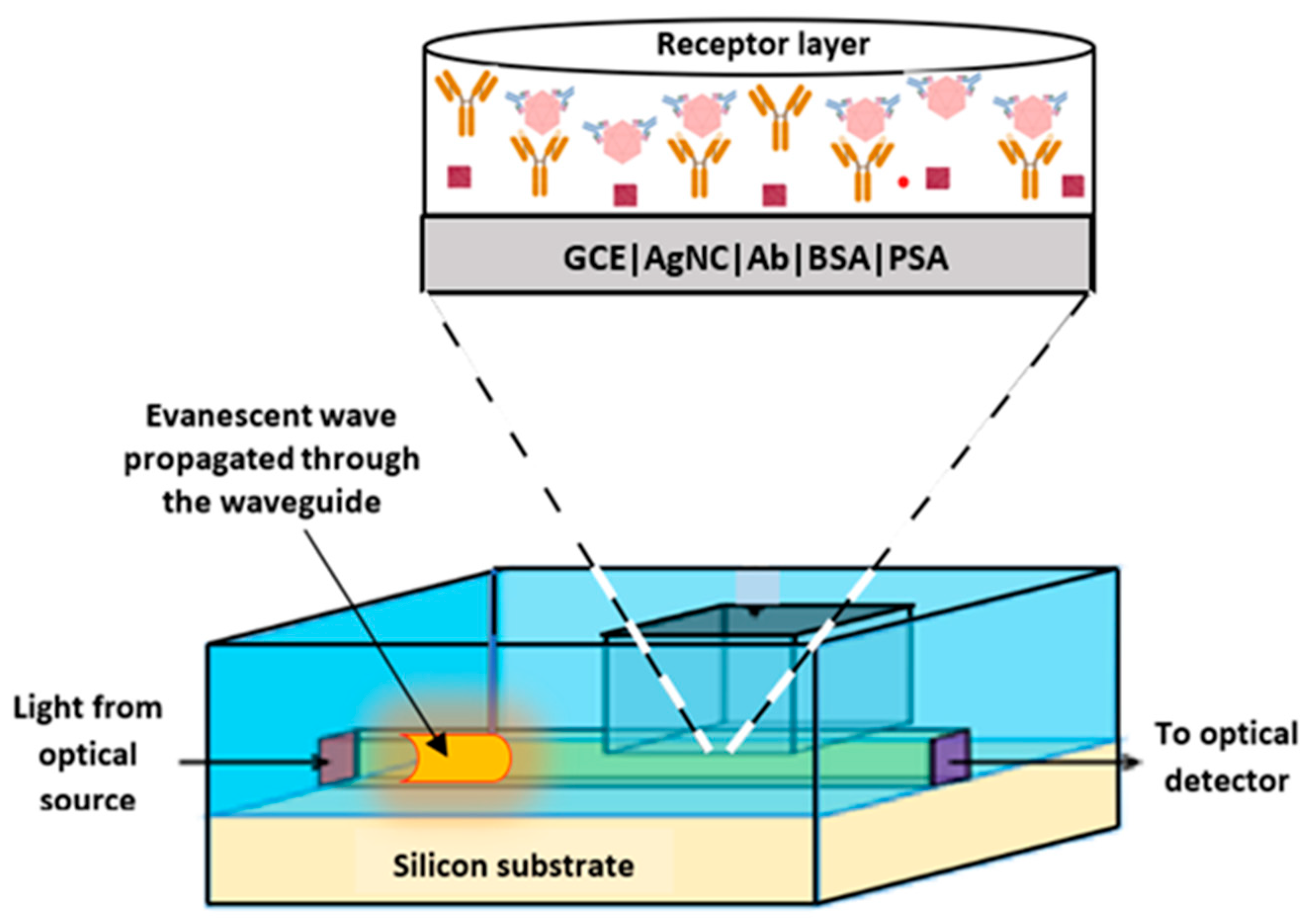 Preprints 160109 g008