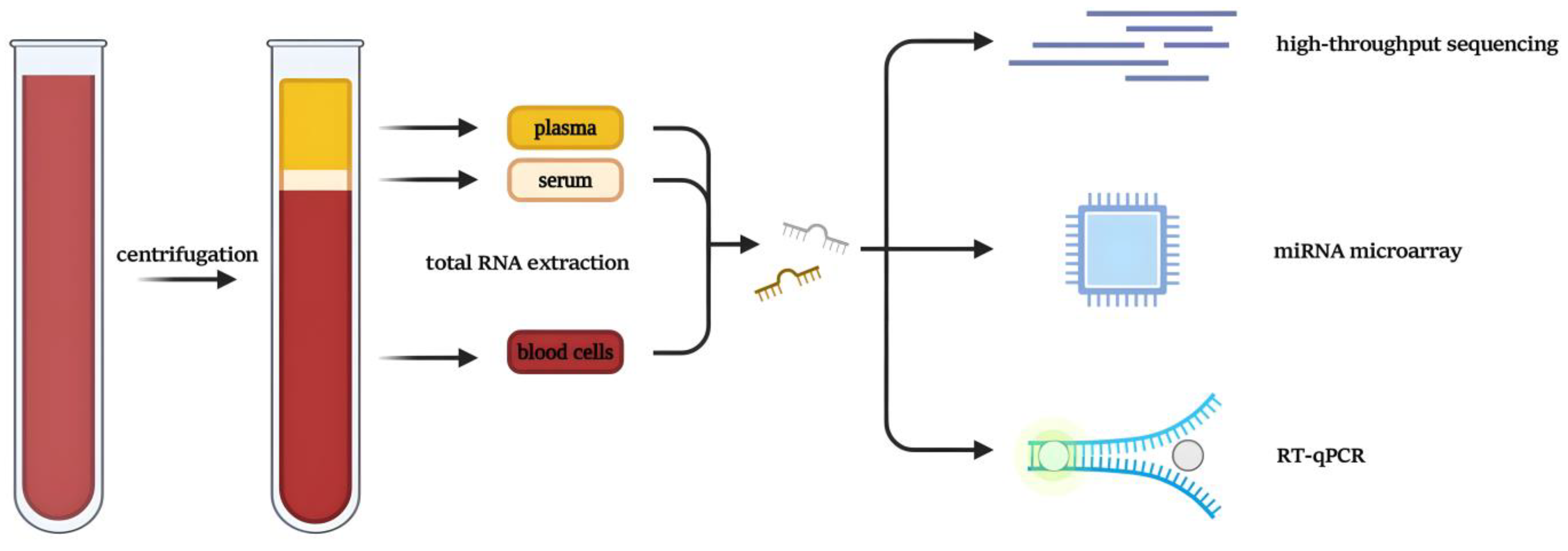 Preprints 115009 g002