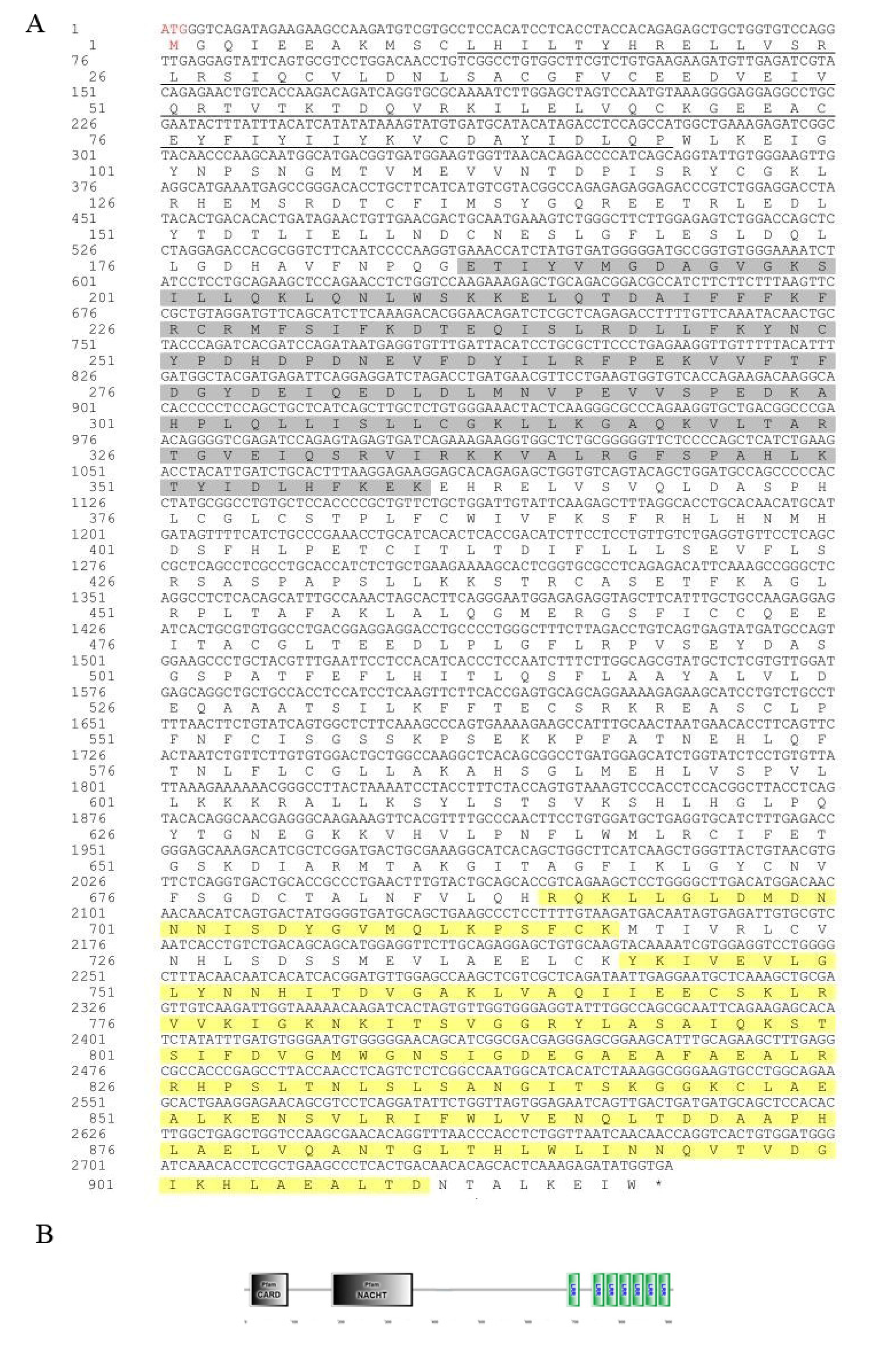 Preprints 146404 g001