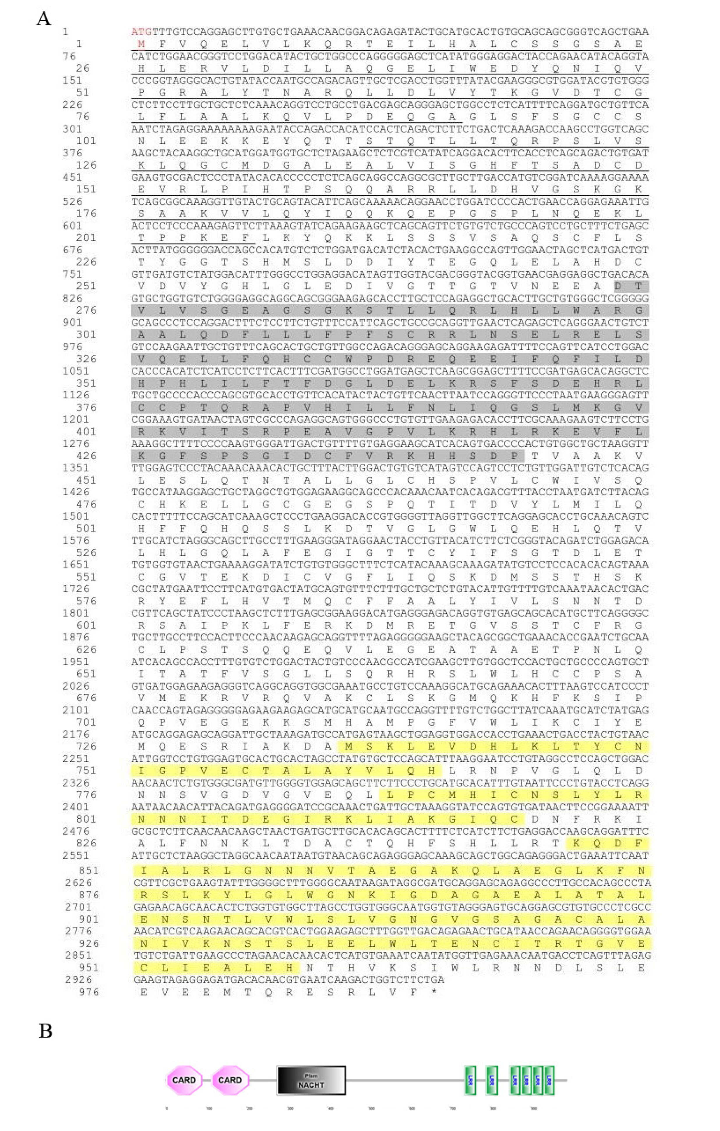 Preprints 146404 g002
