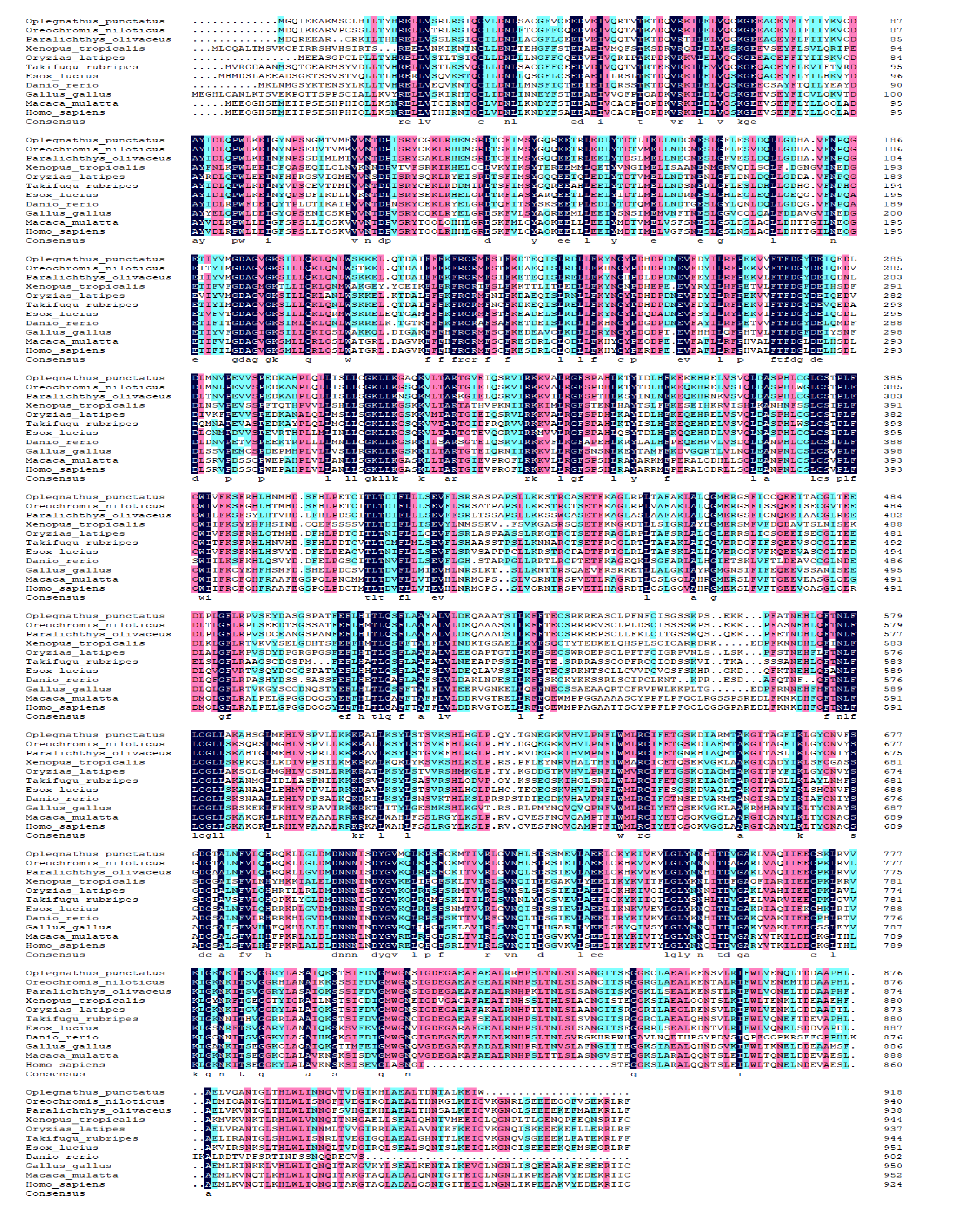 Preprints 146404 g004