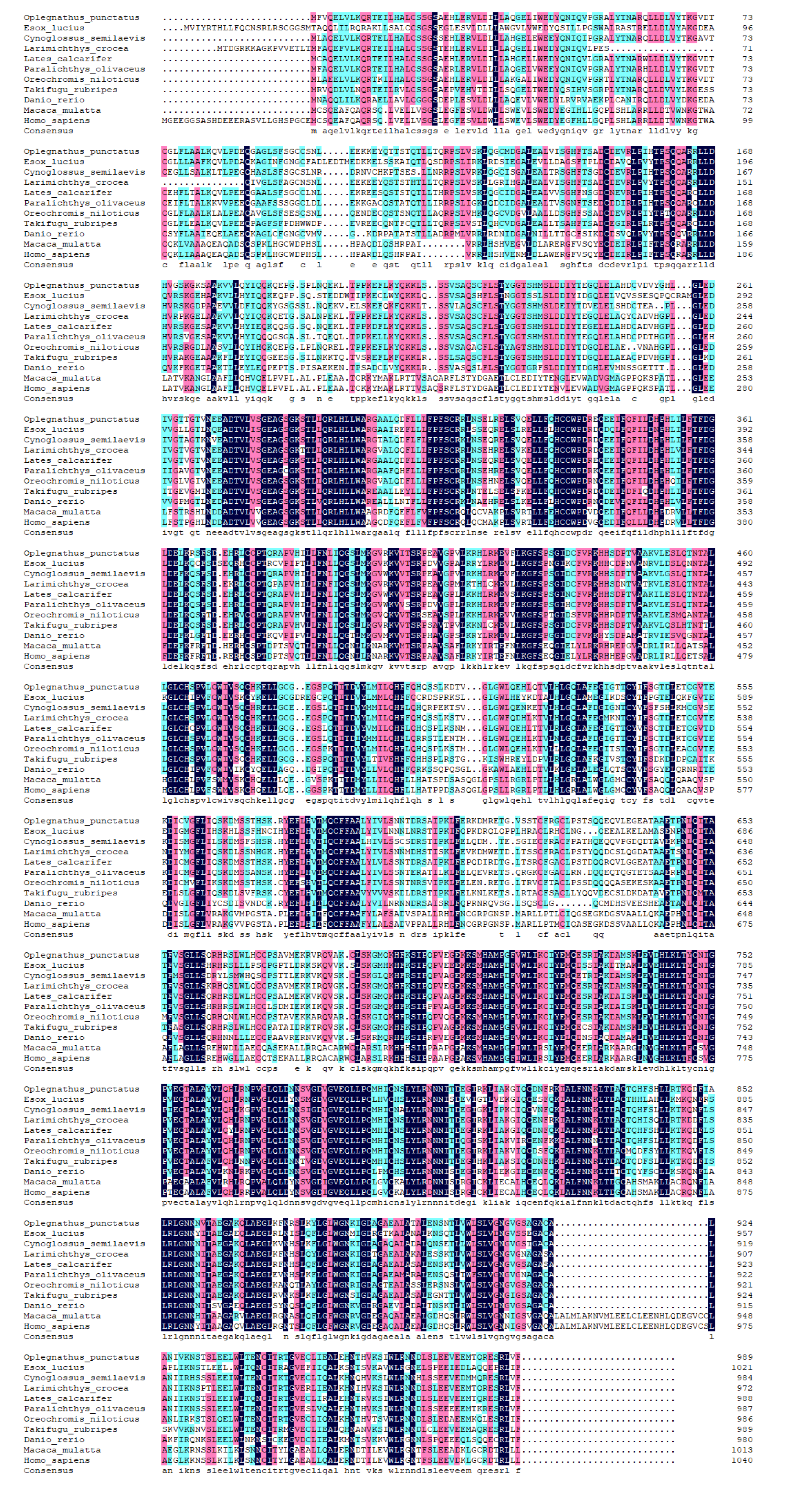Preprints 146404 g005