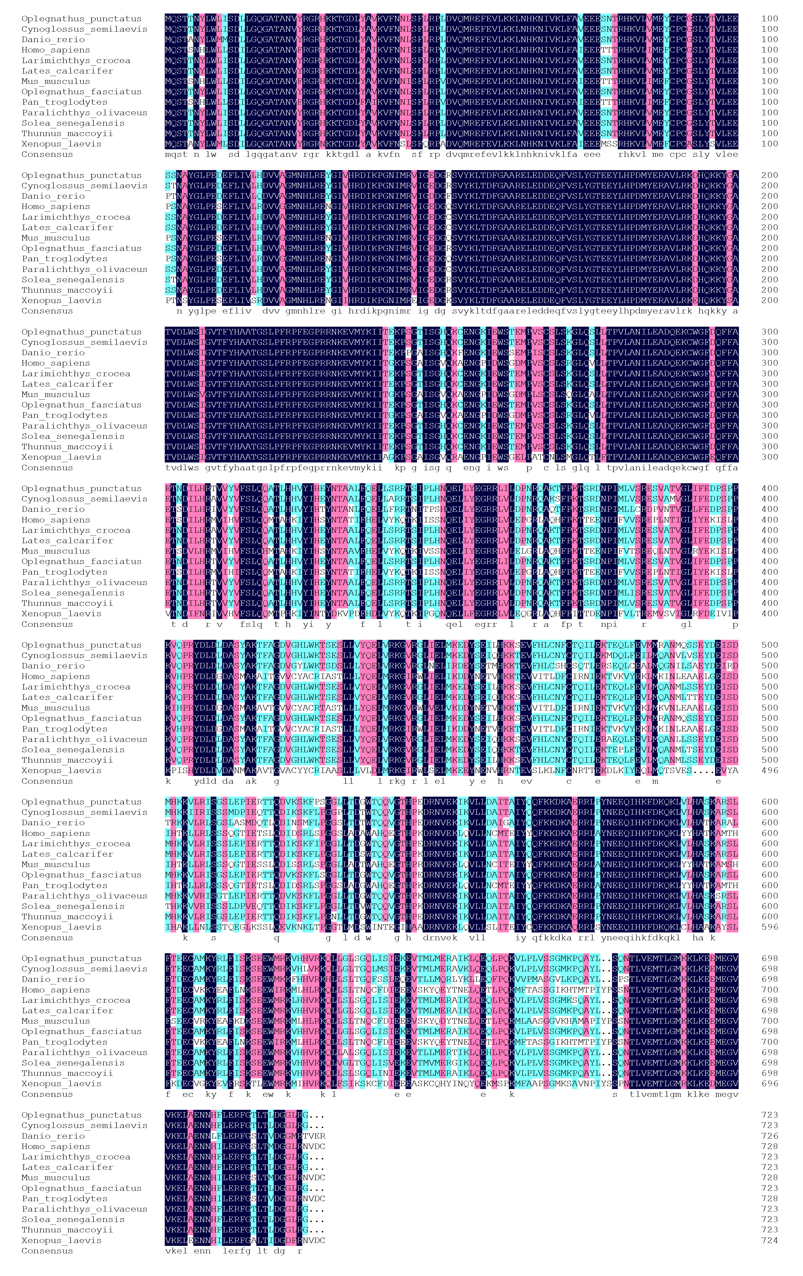 Preprints 146404 g006