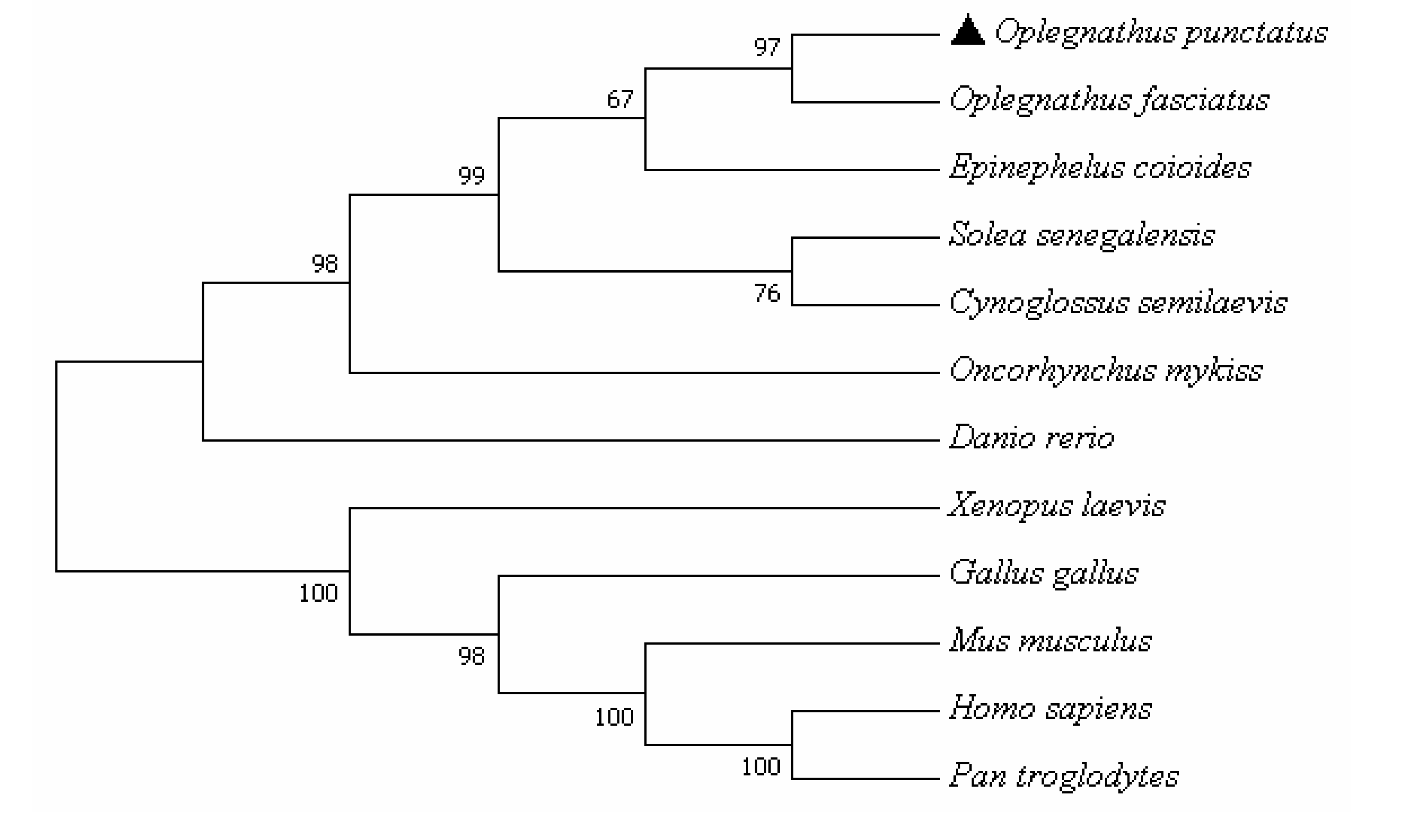 Preprints 146404 g008