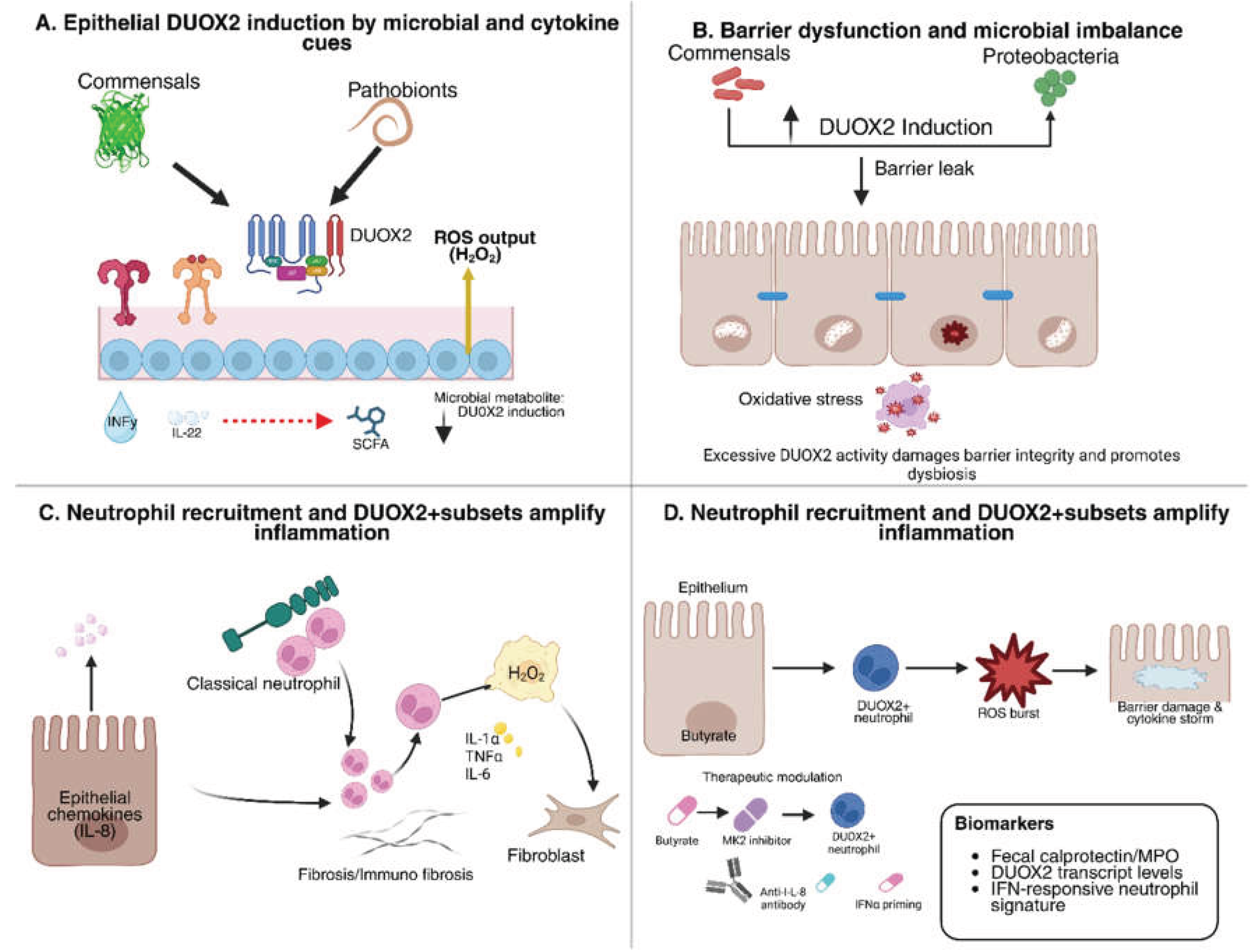 Preprints 186505 g001
