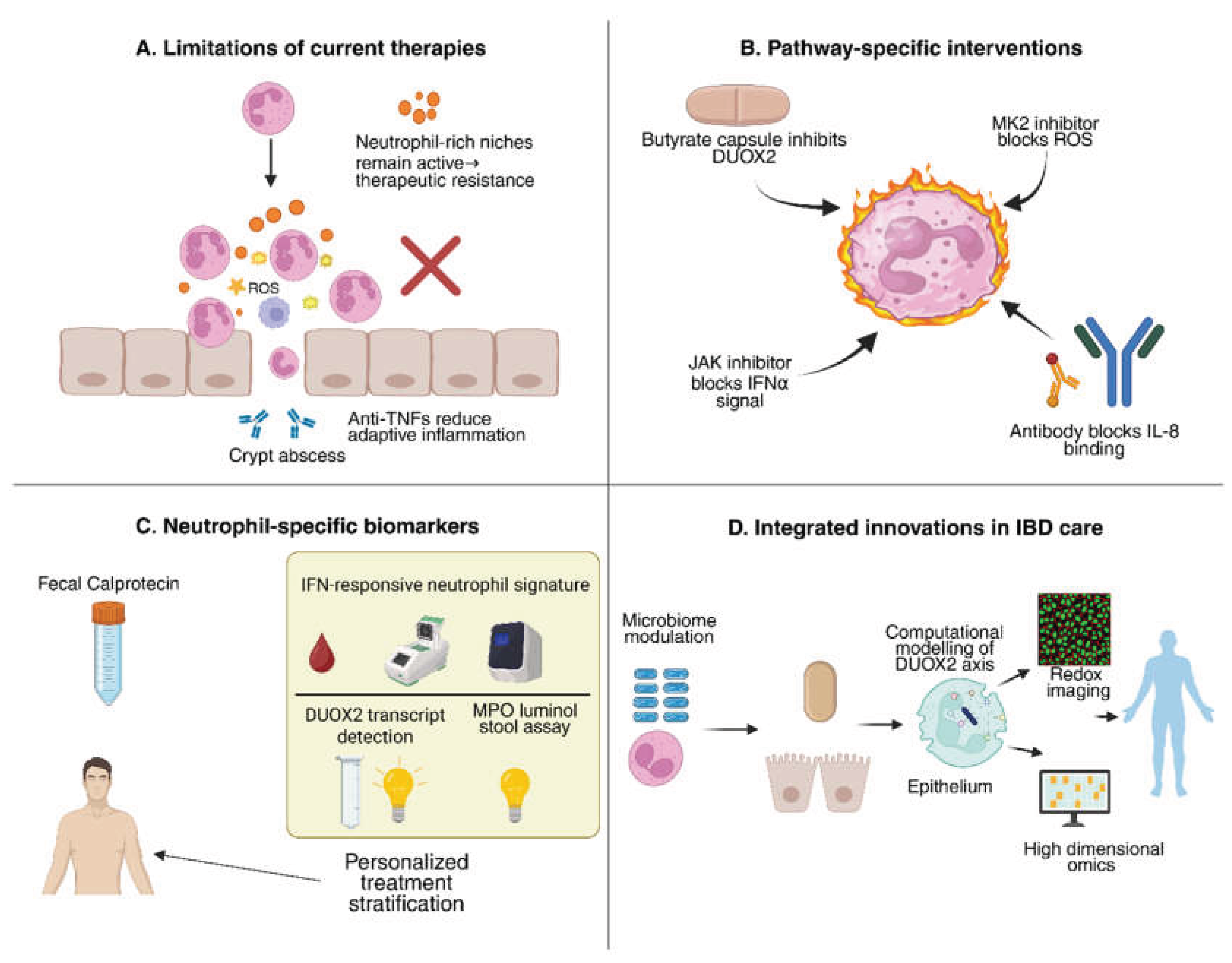 Preprints 186505 g003