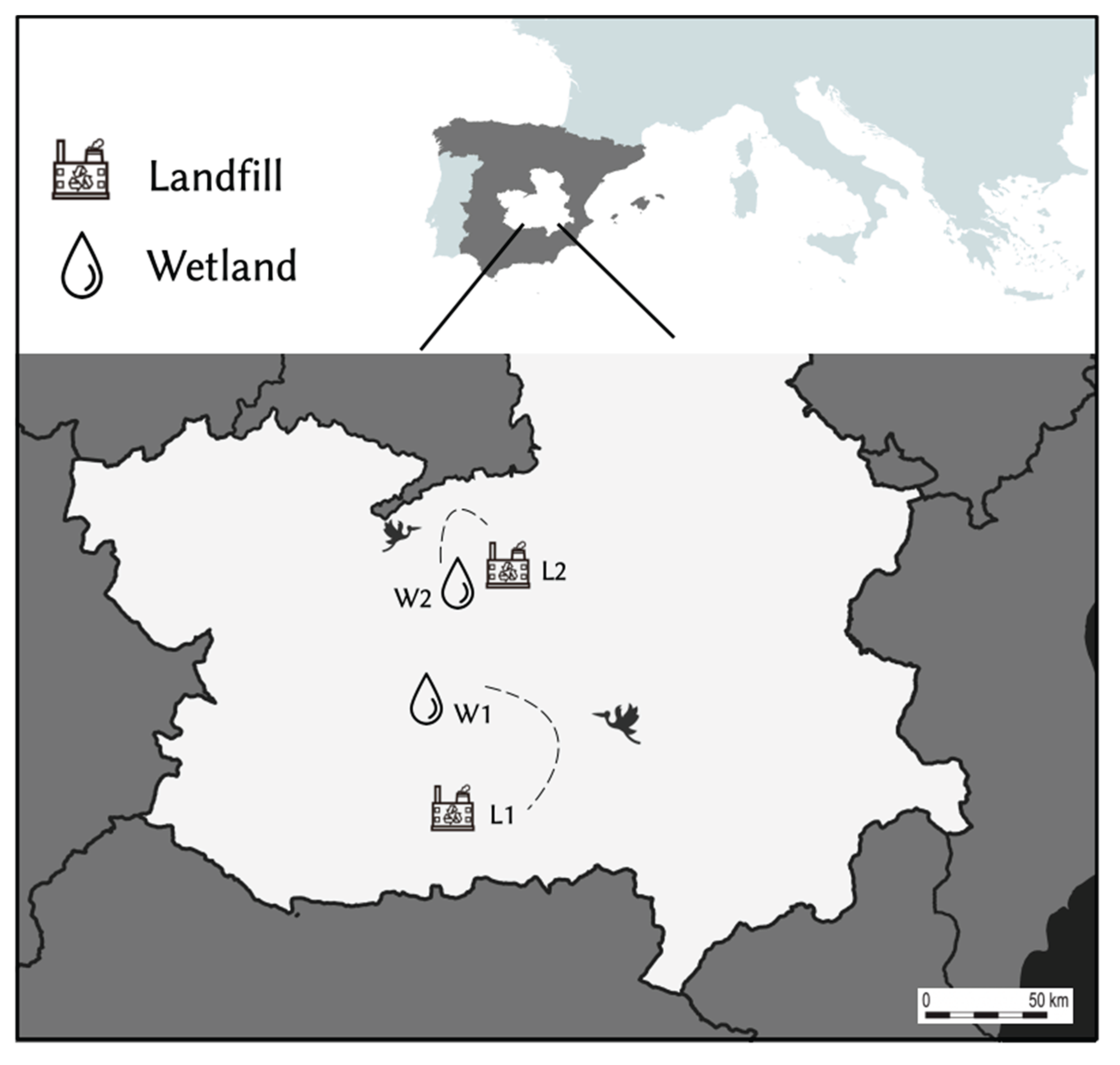 Preprints 171726 g001