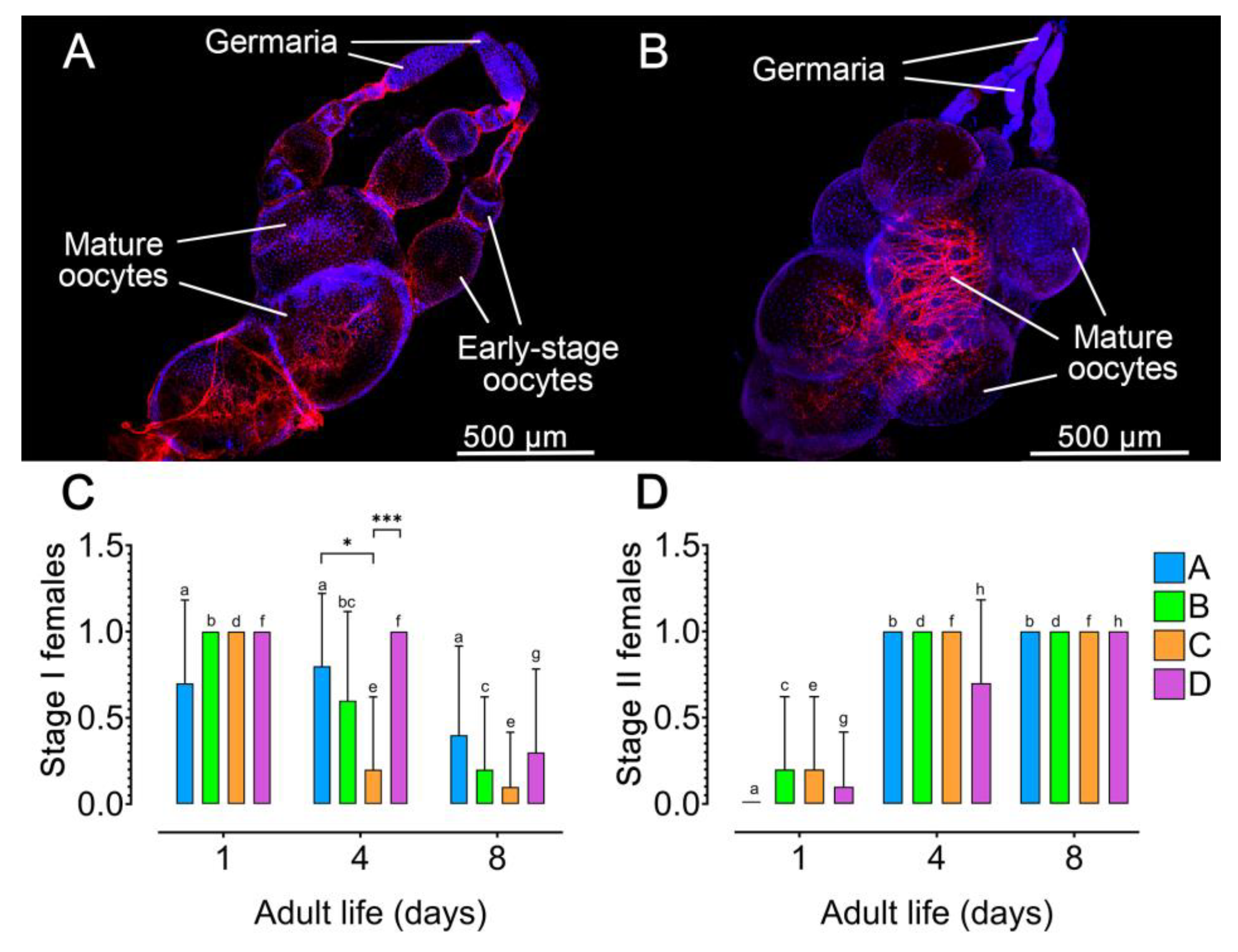 Preprints 169075 g003