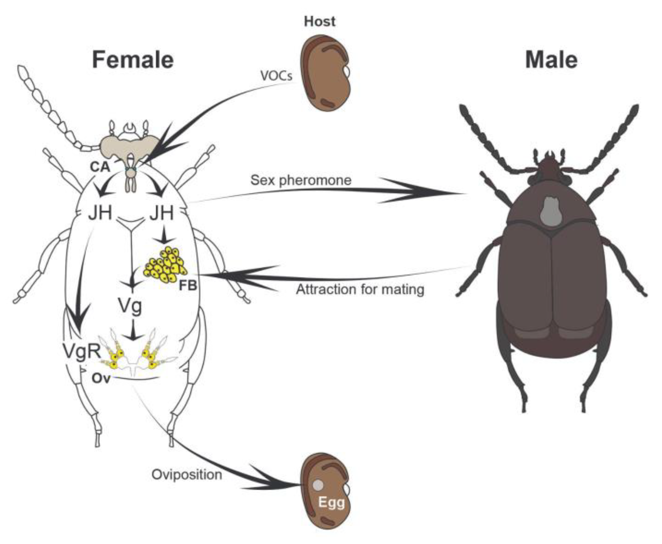 Preprints 169075 g005