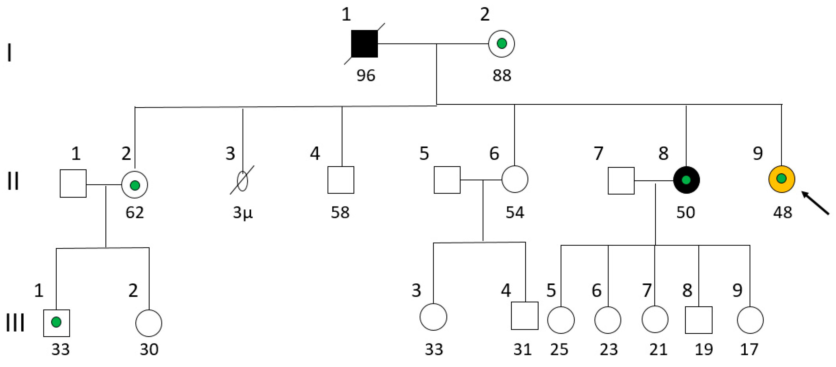 Preprints 166917 g001