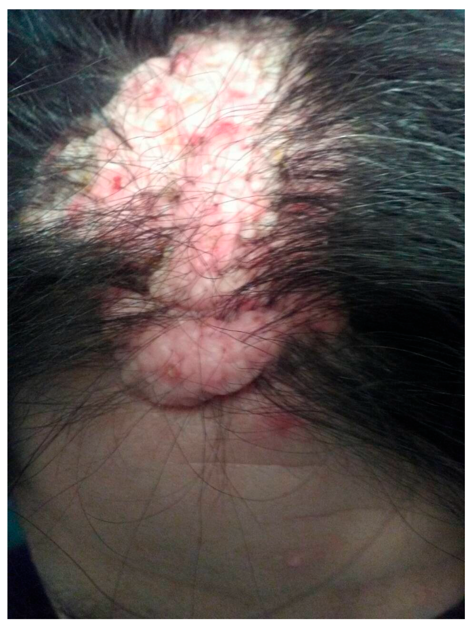 Preprints 166917 g003