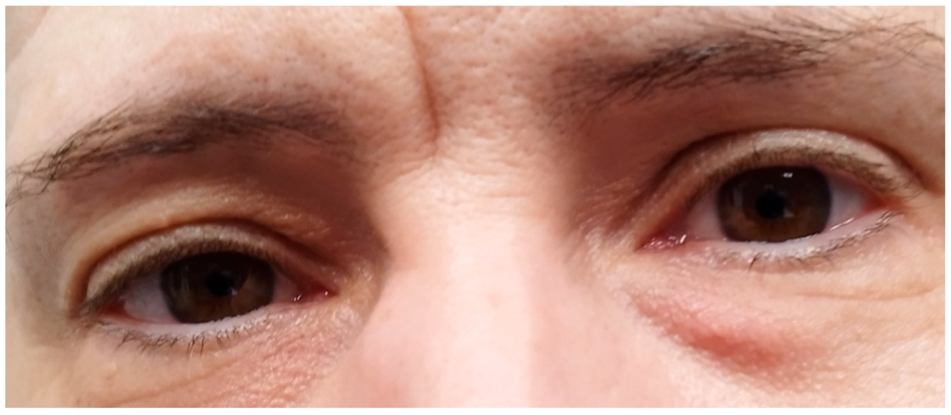 Preprints 166917 g004