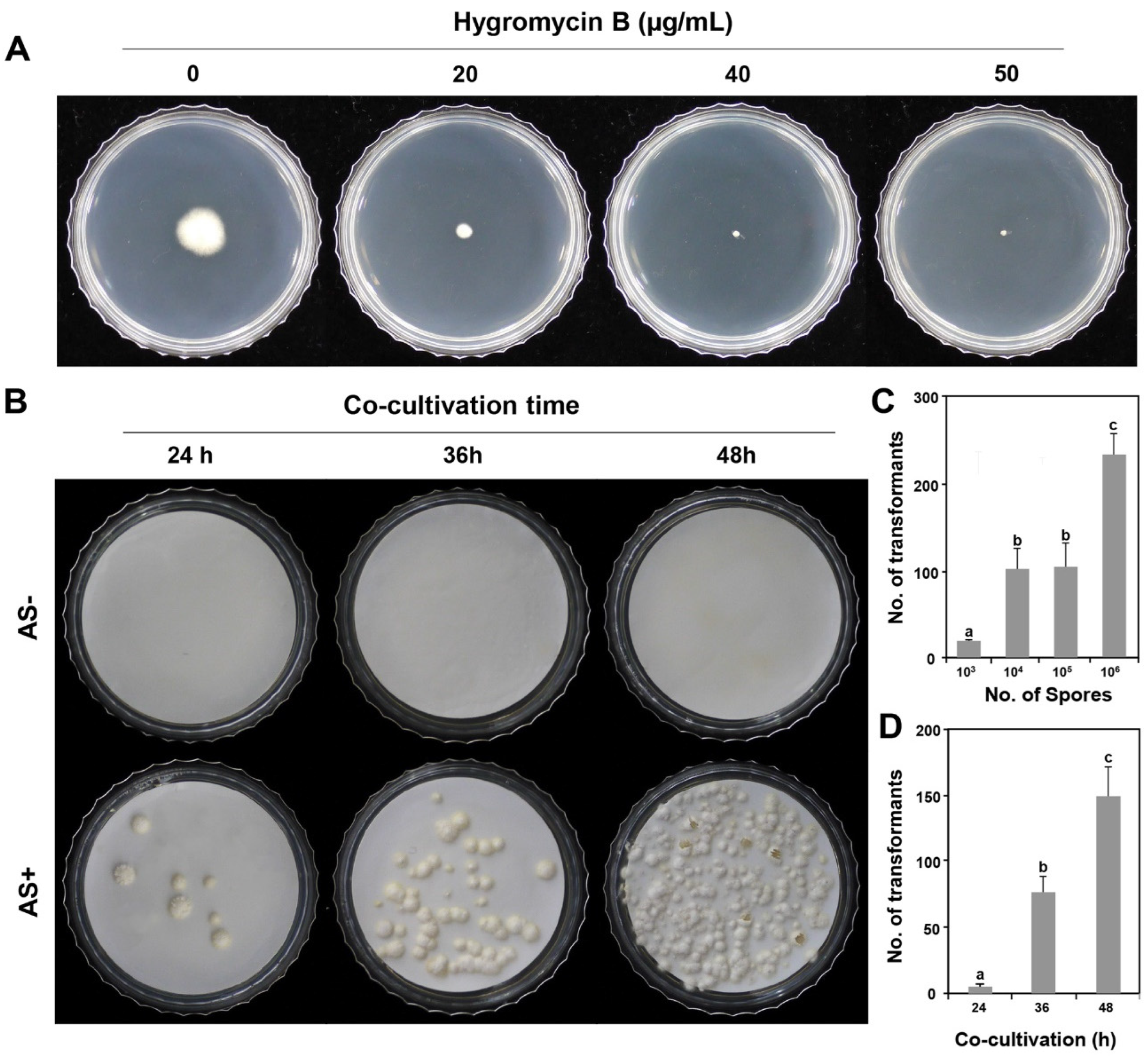 Preprints 90109 g001