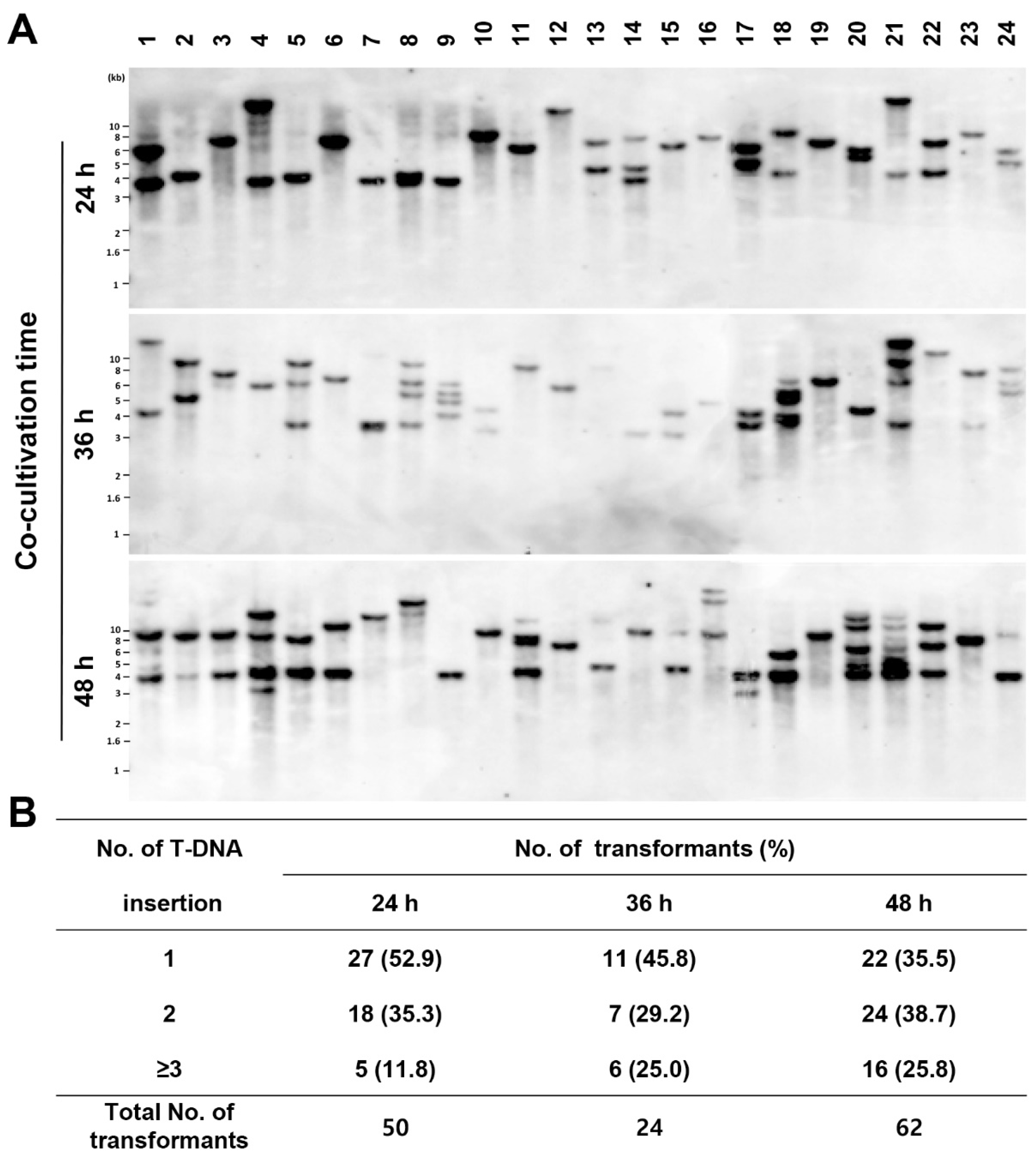 Preprints 90109 g002