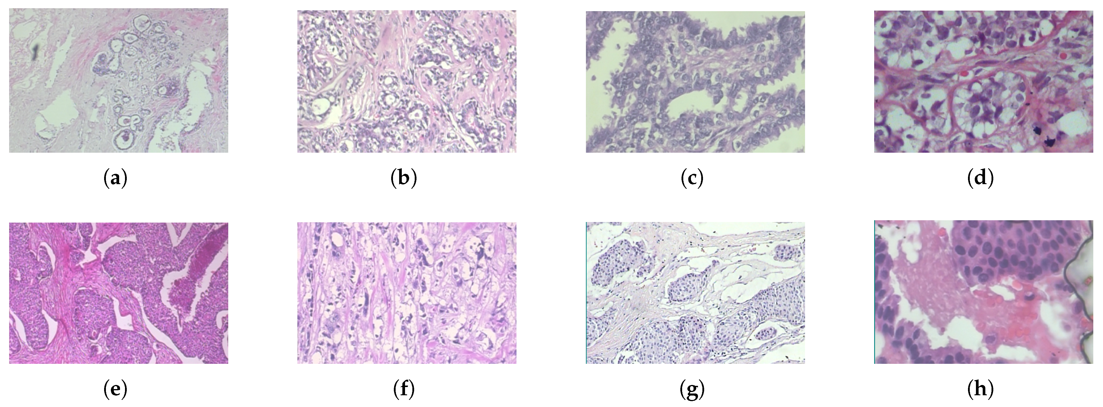 Preprints 168070 g001