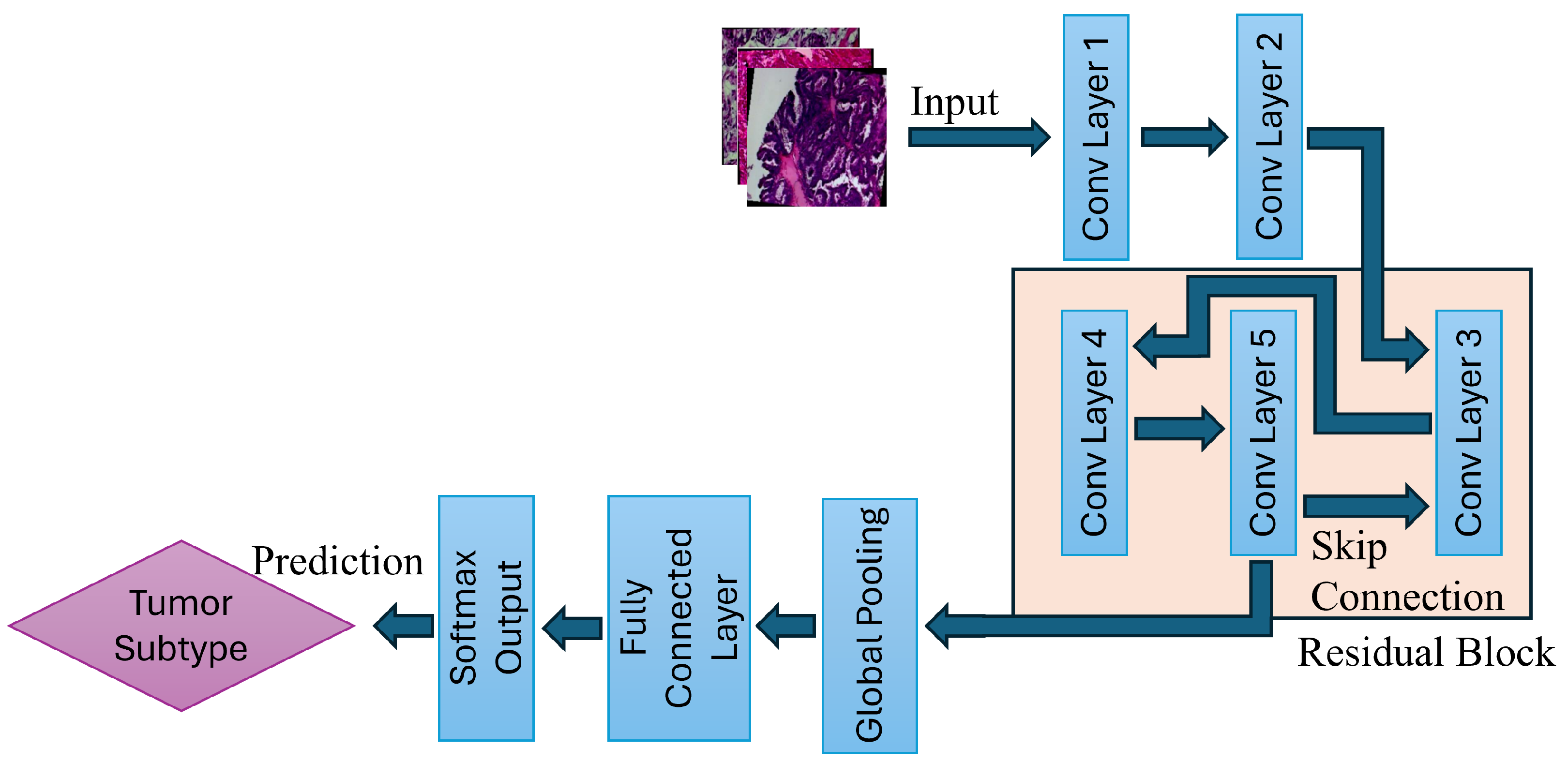 Preprints 168070 g002