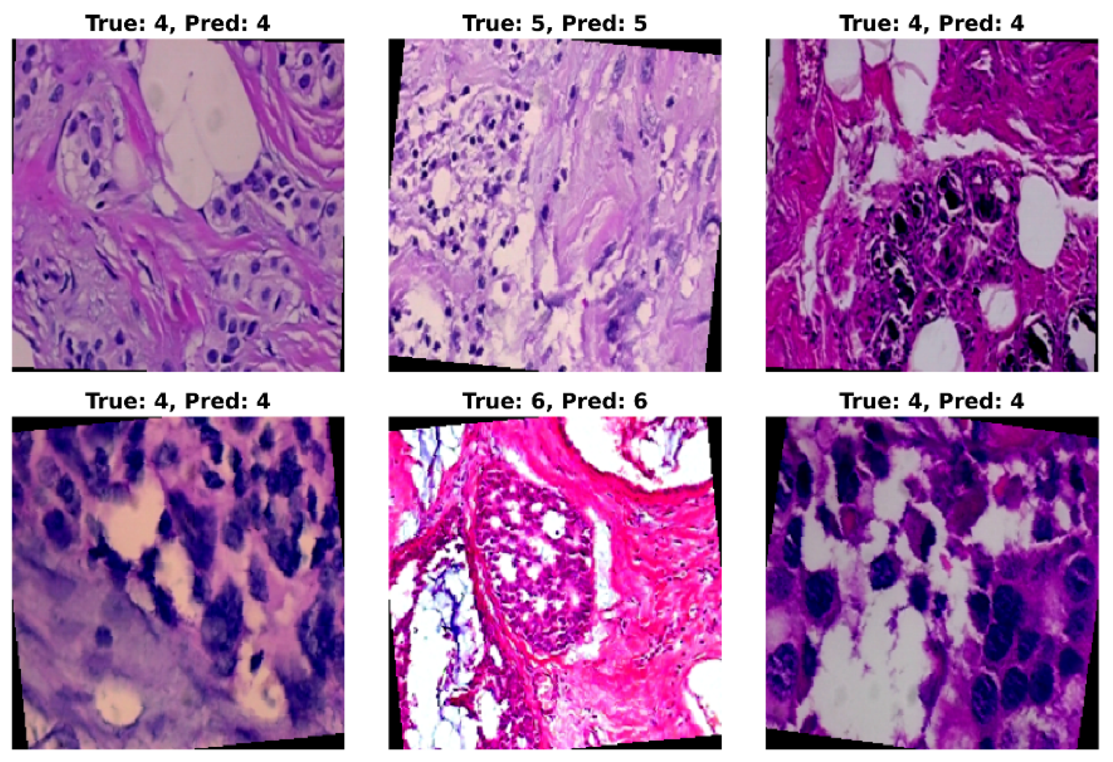 Preprints 168070 g007