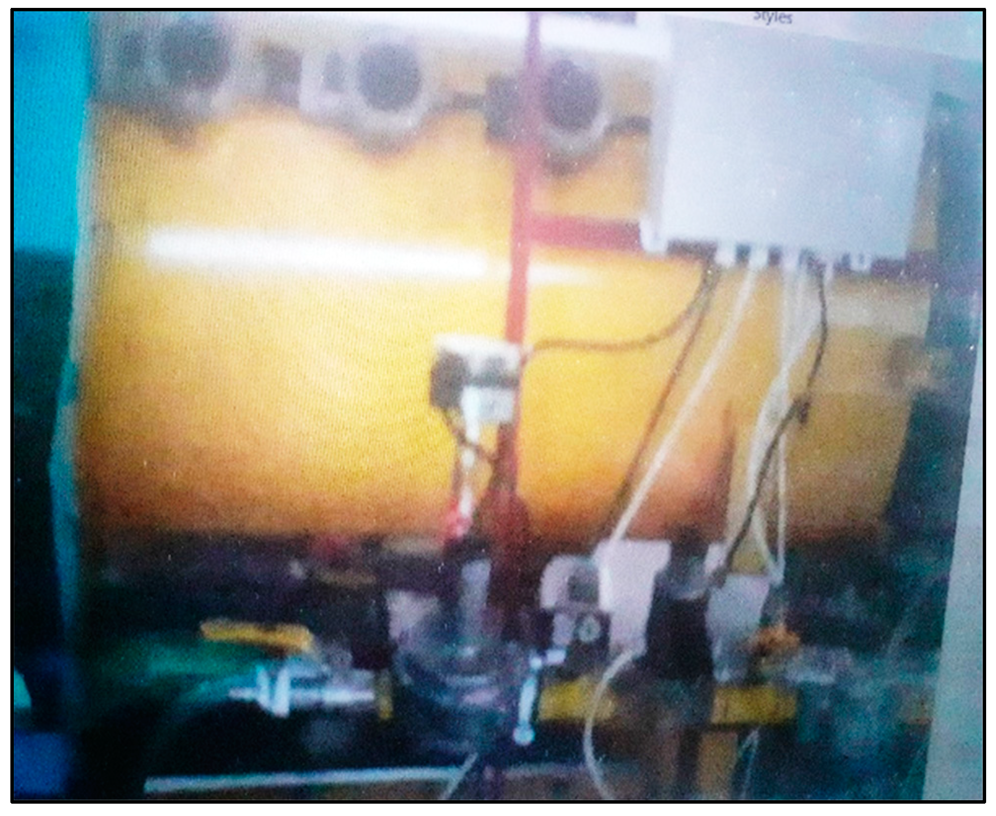 Preprints 140125 g002