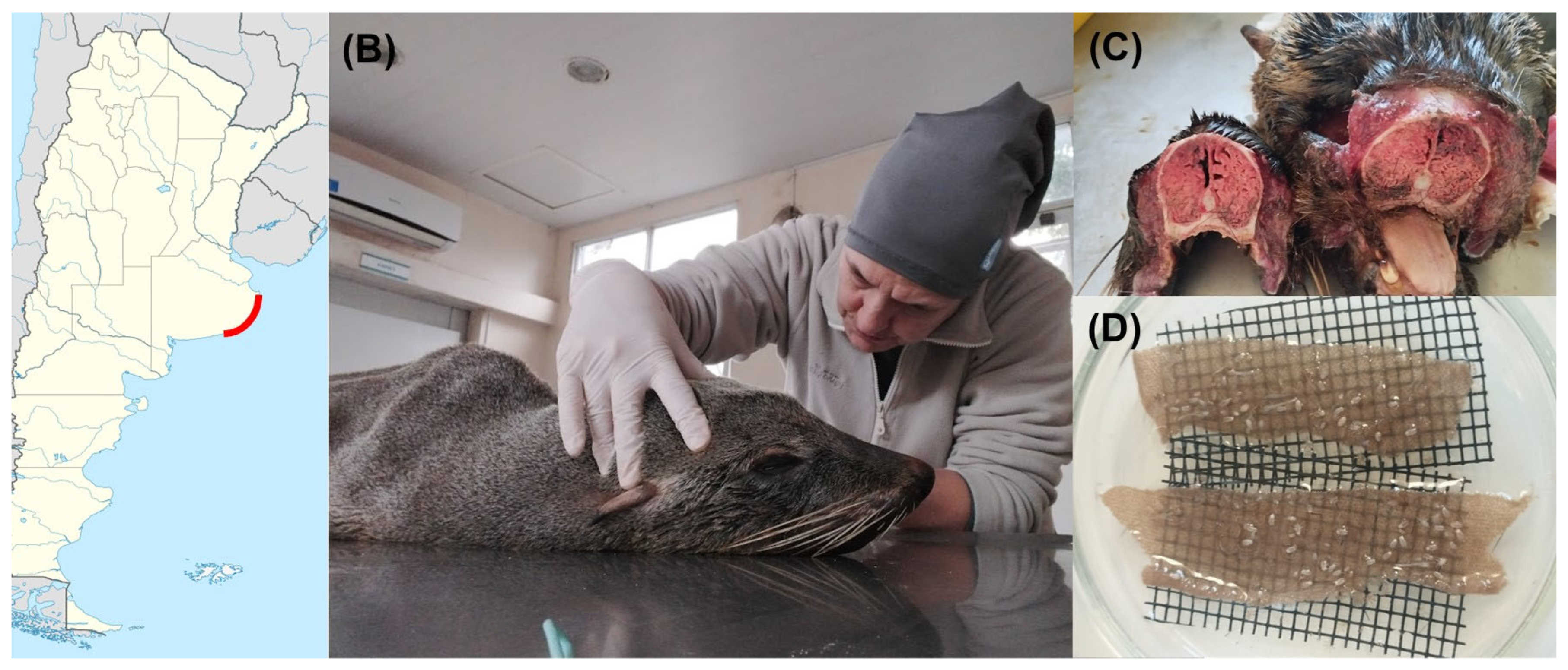 Preprints 195145 g001