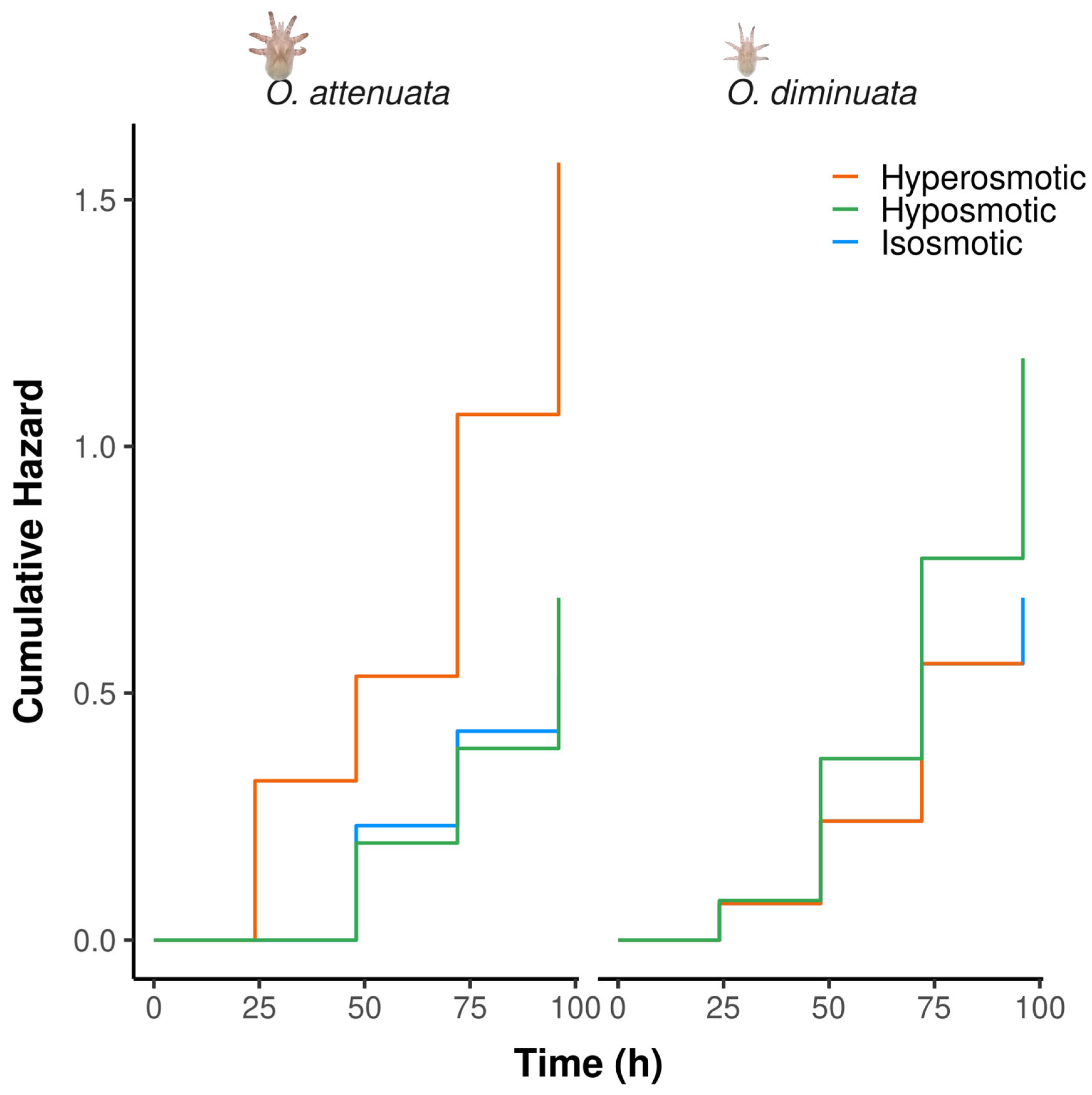 Preprints 195145 g003