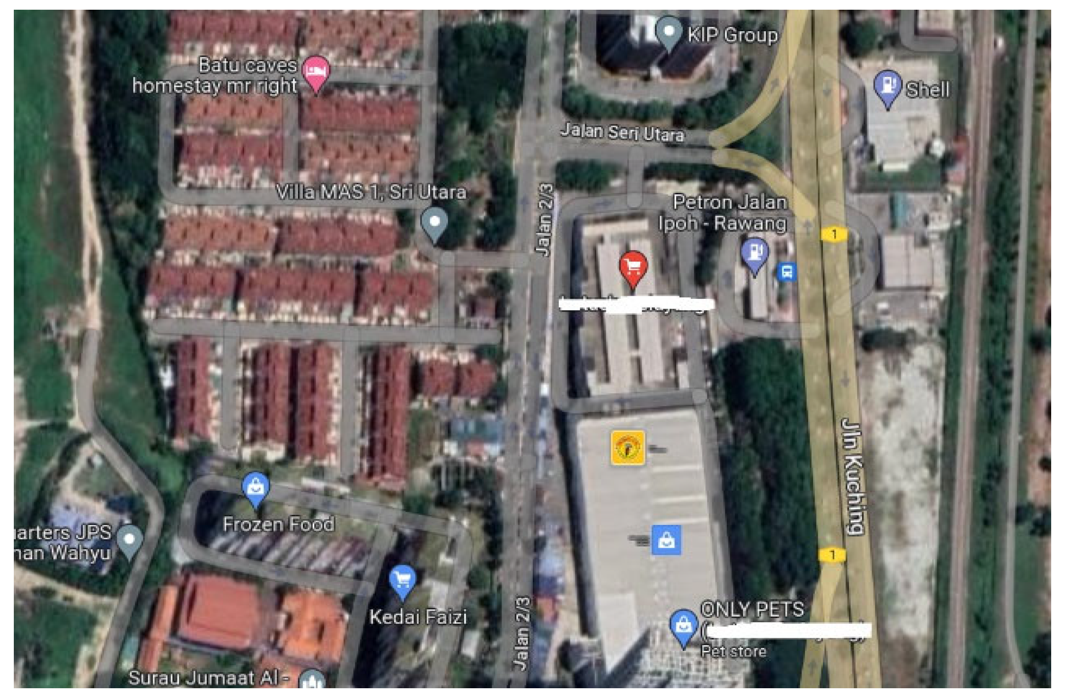 Preprints 155478 g001