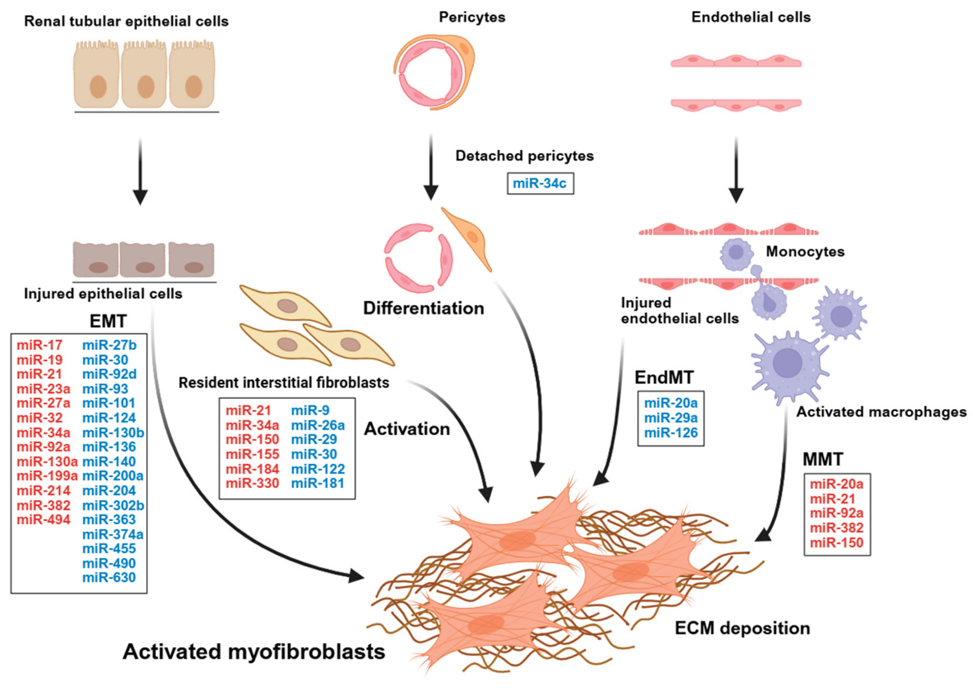 Preprints 194450 g001