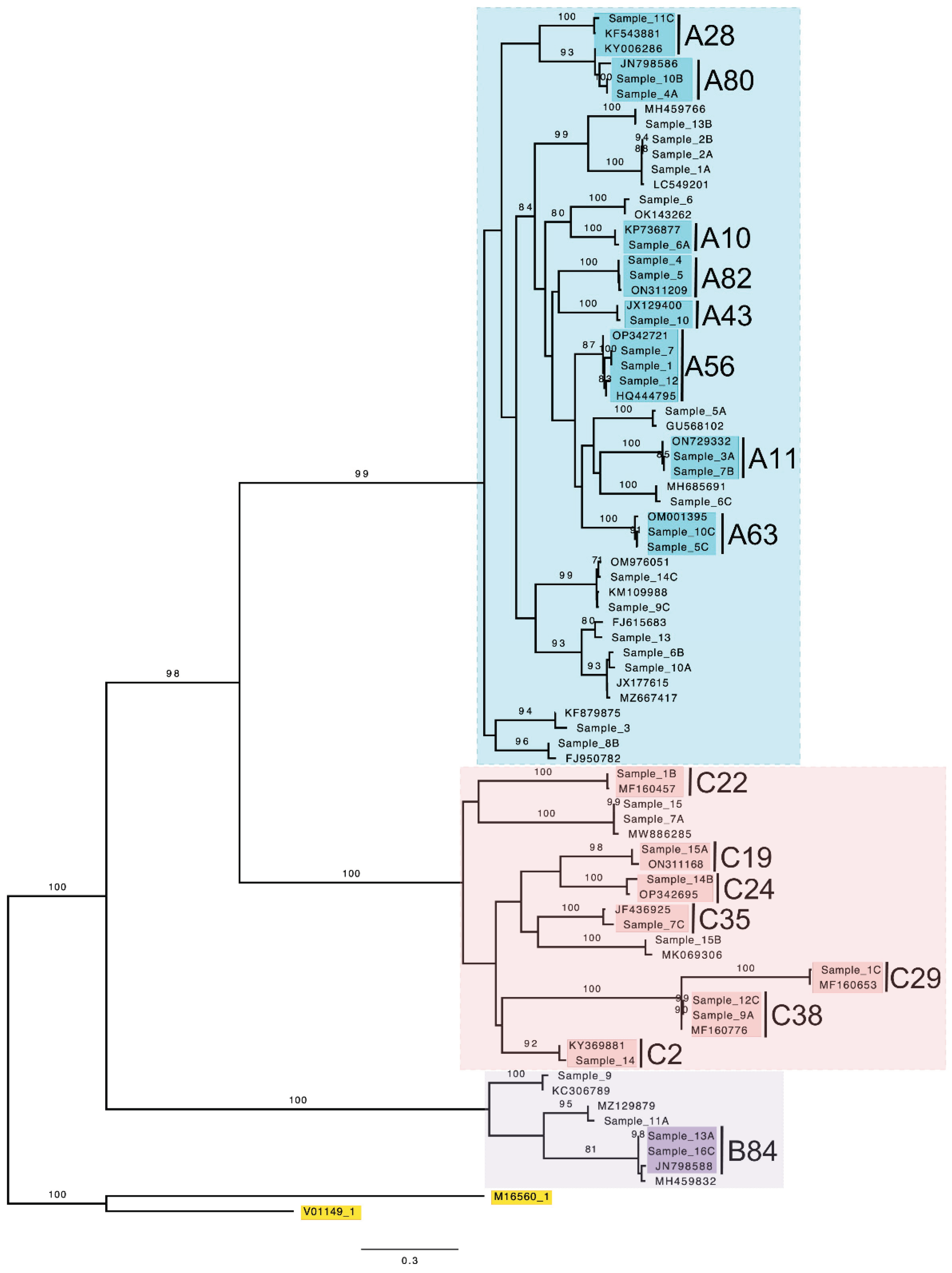 Preprints 100300 g001