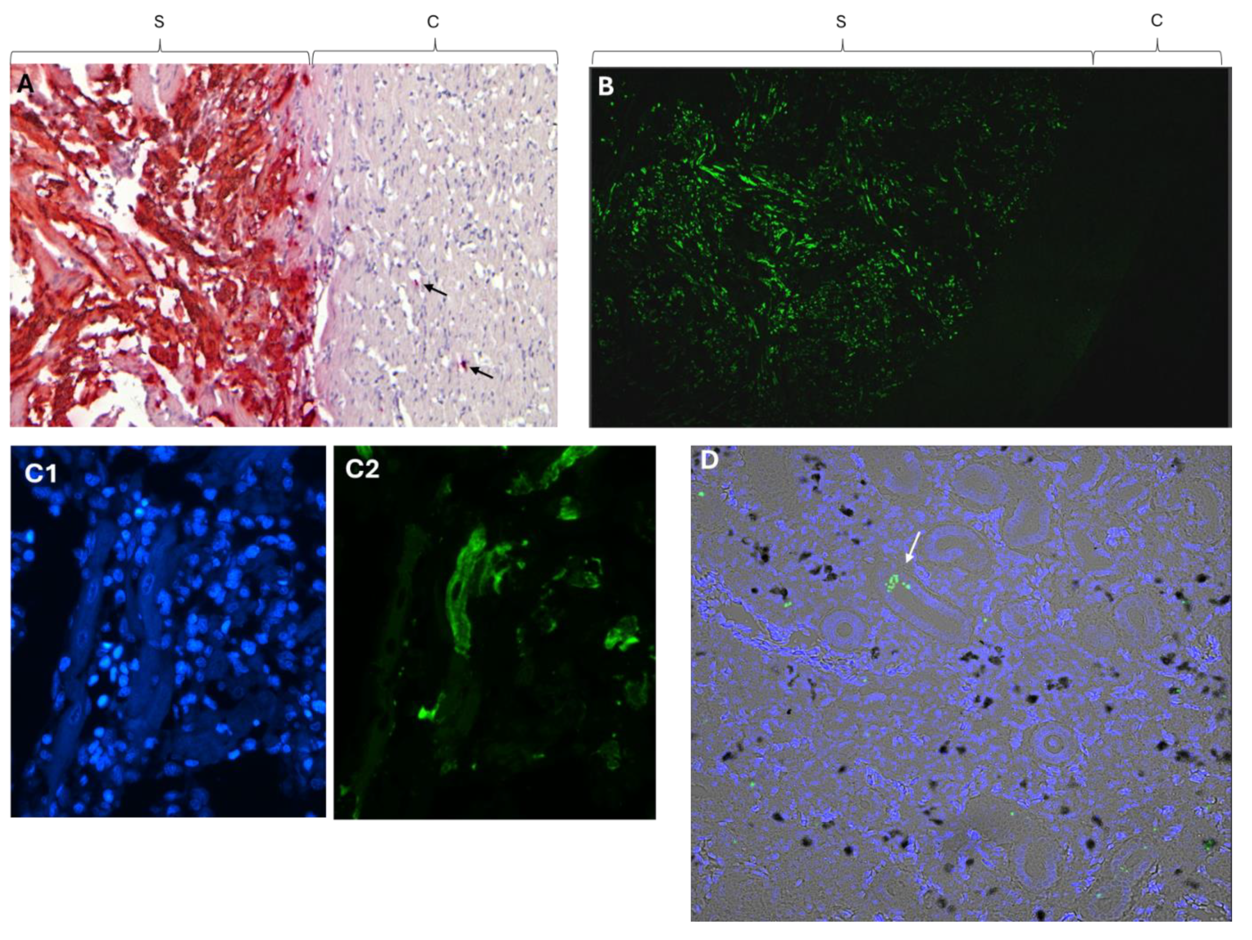 Preprints 111334 g001