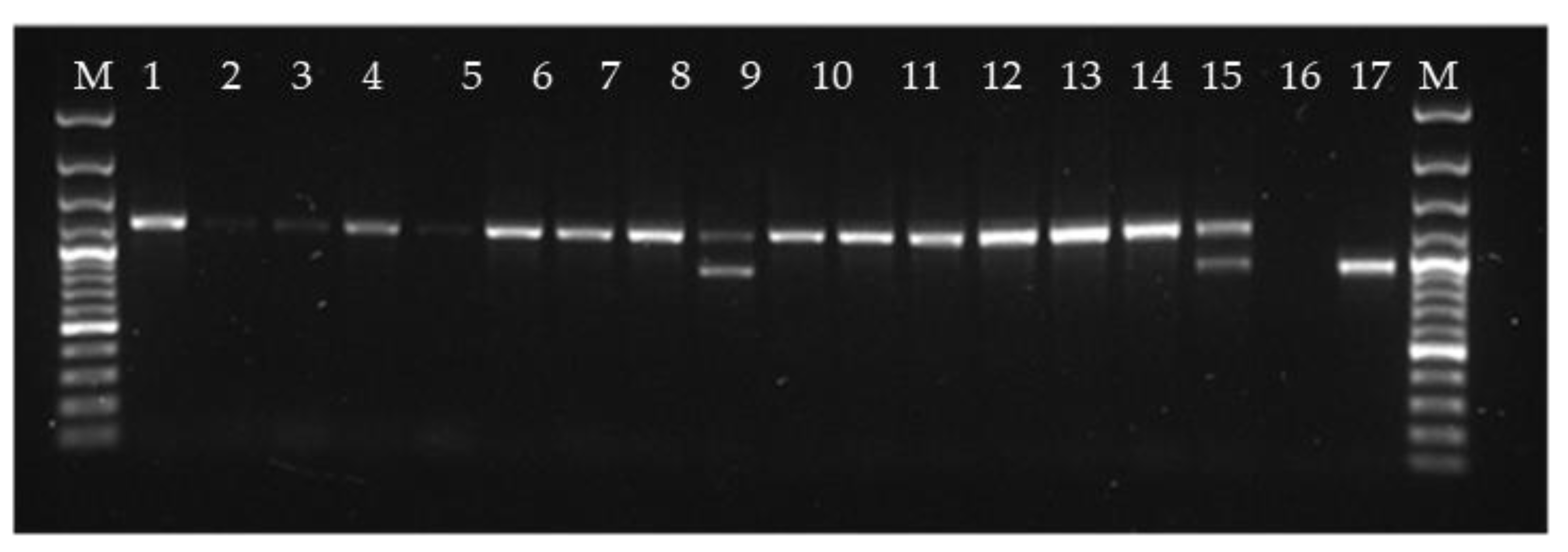 Preprints 111334 g003