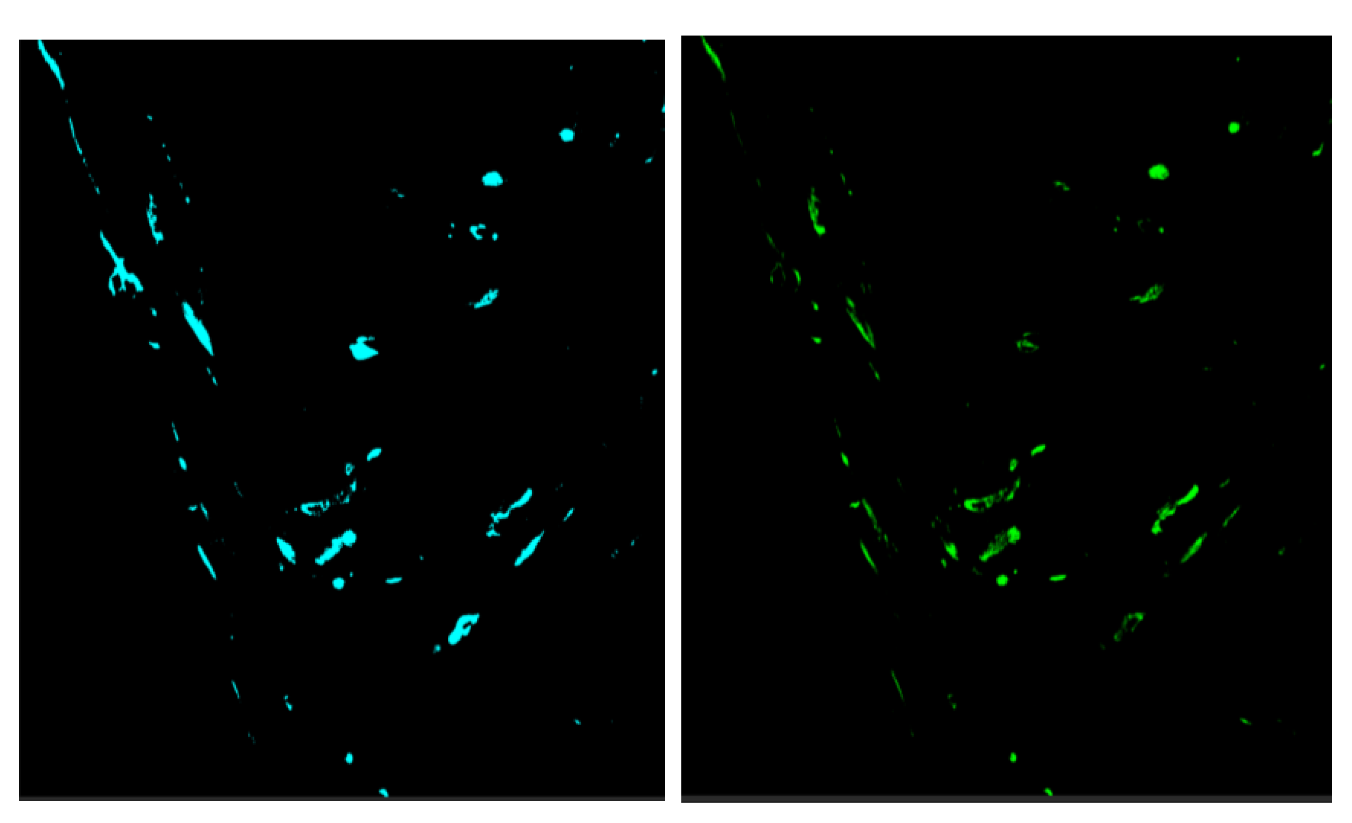 Preprints 111334 g0a1