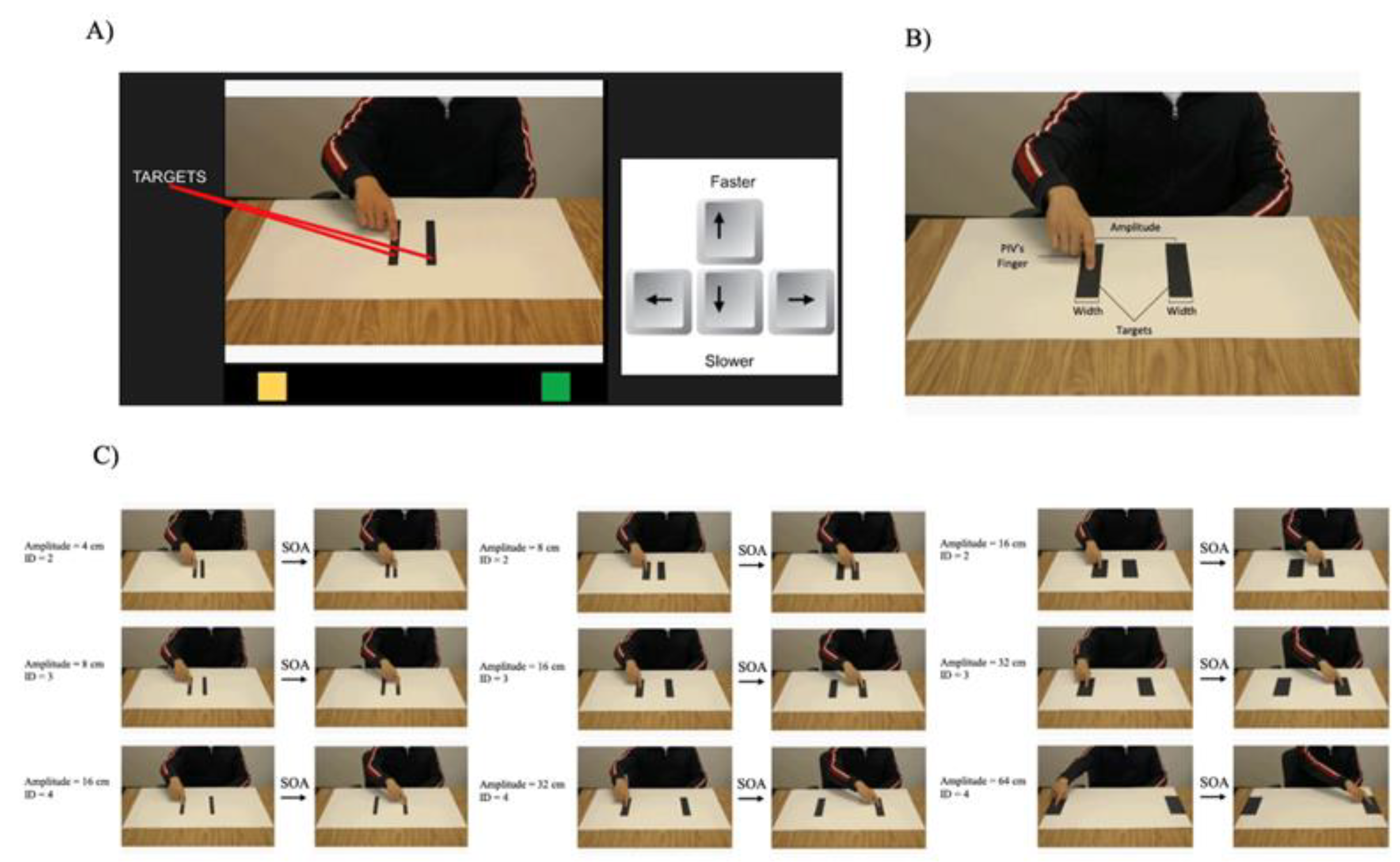 Preprints 82040 g001
