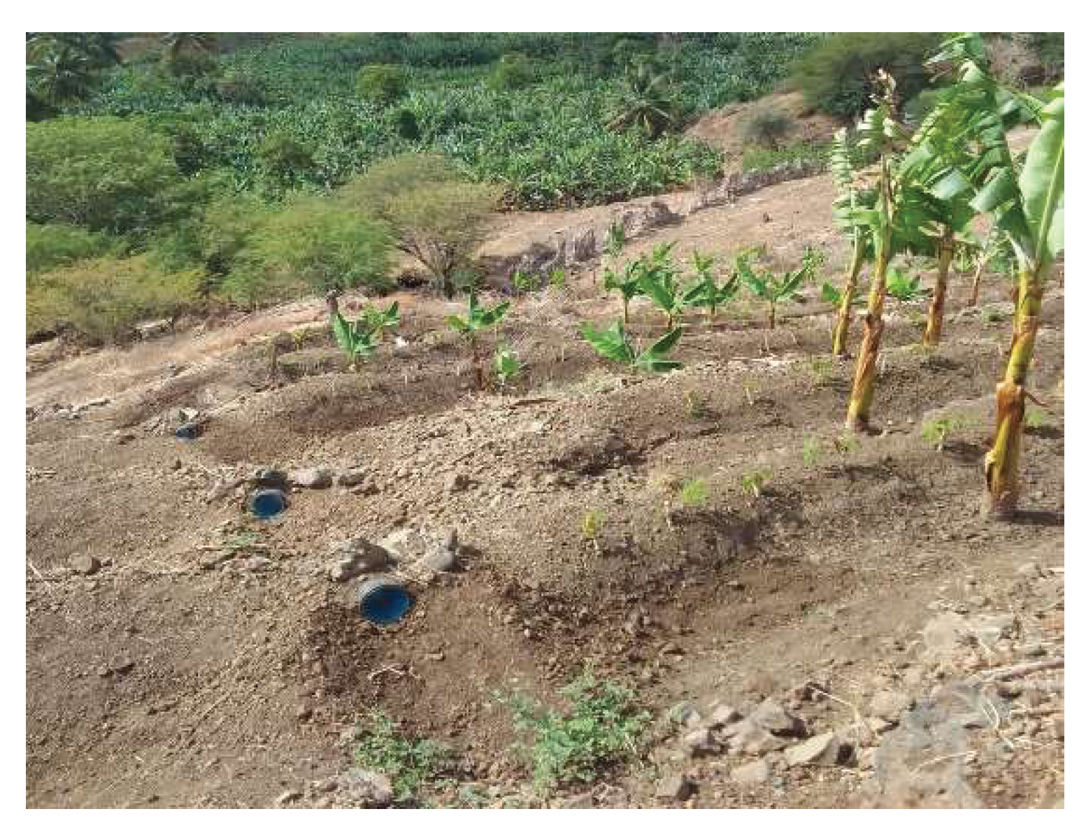 Preprints 160630 g010