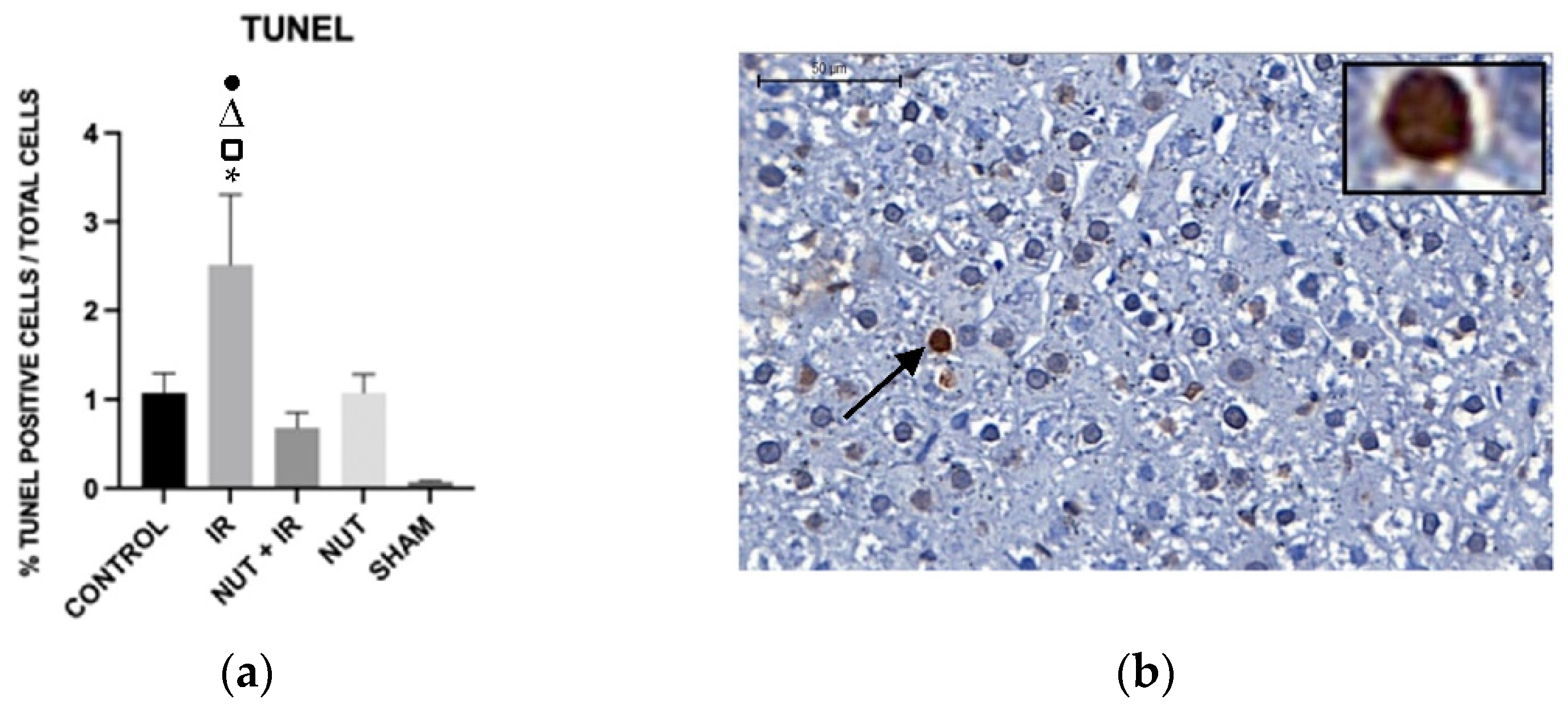Preprints 72755 g005a