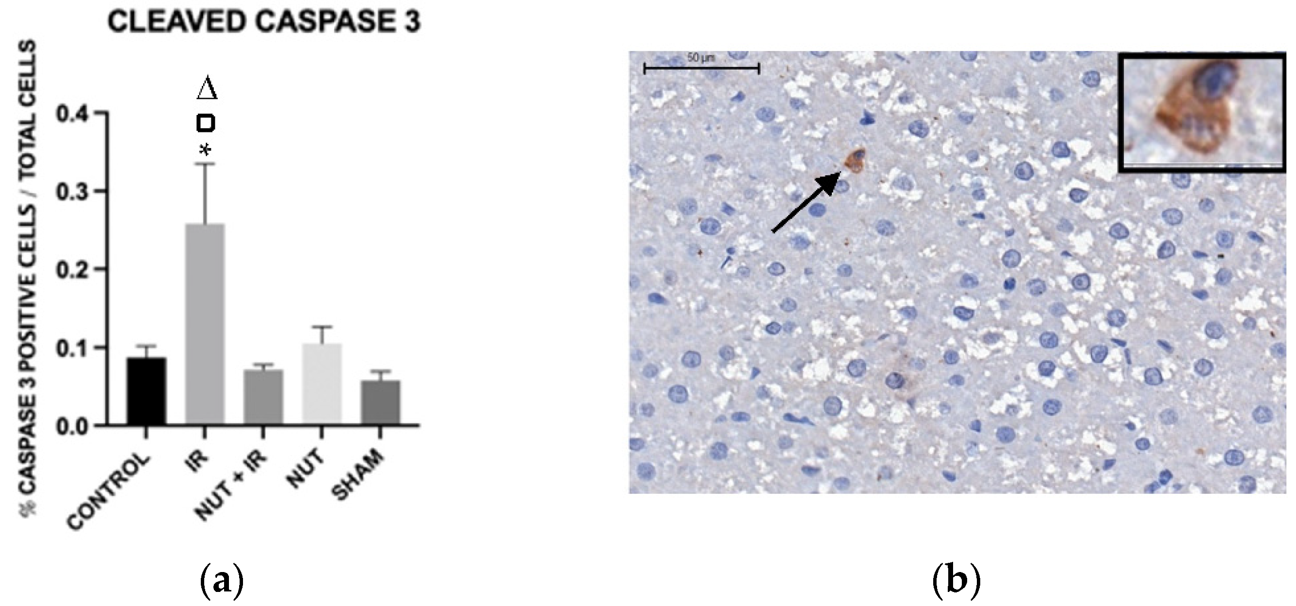 Preprints 72755 g006a