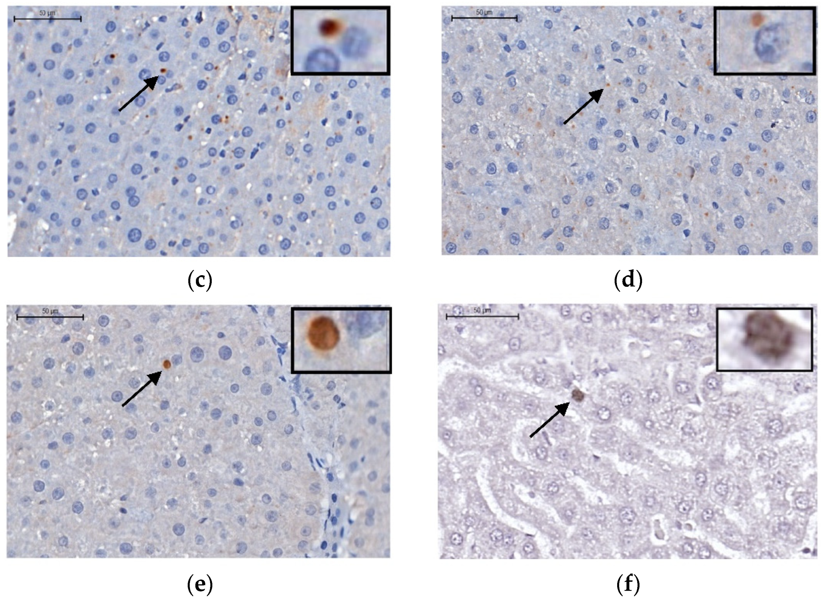 Preprints 72755 g006b