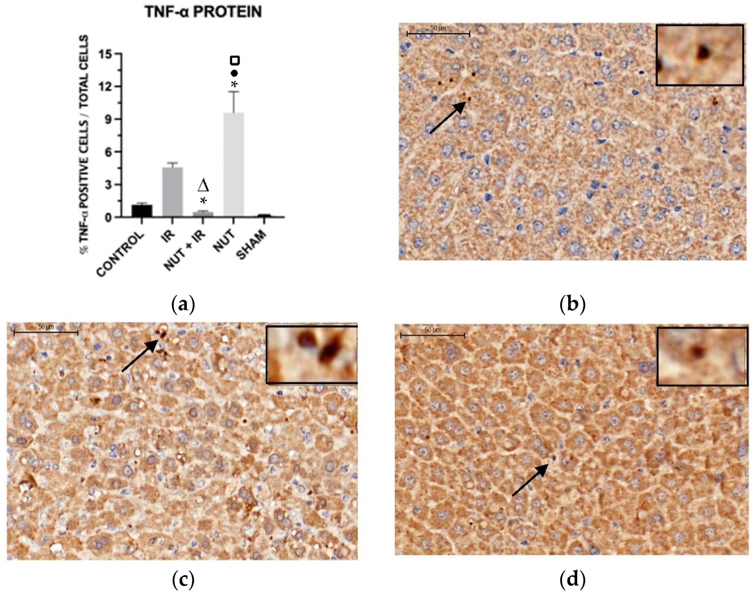 Preprints 72755 g007a