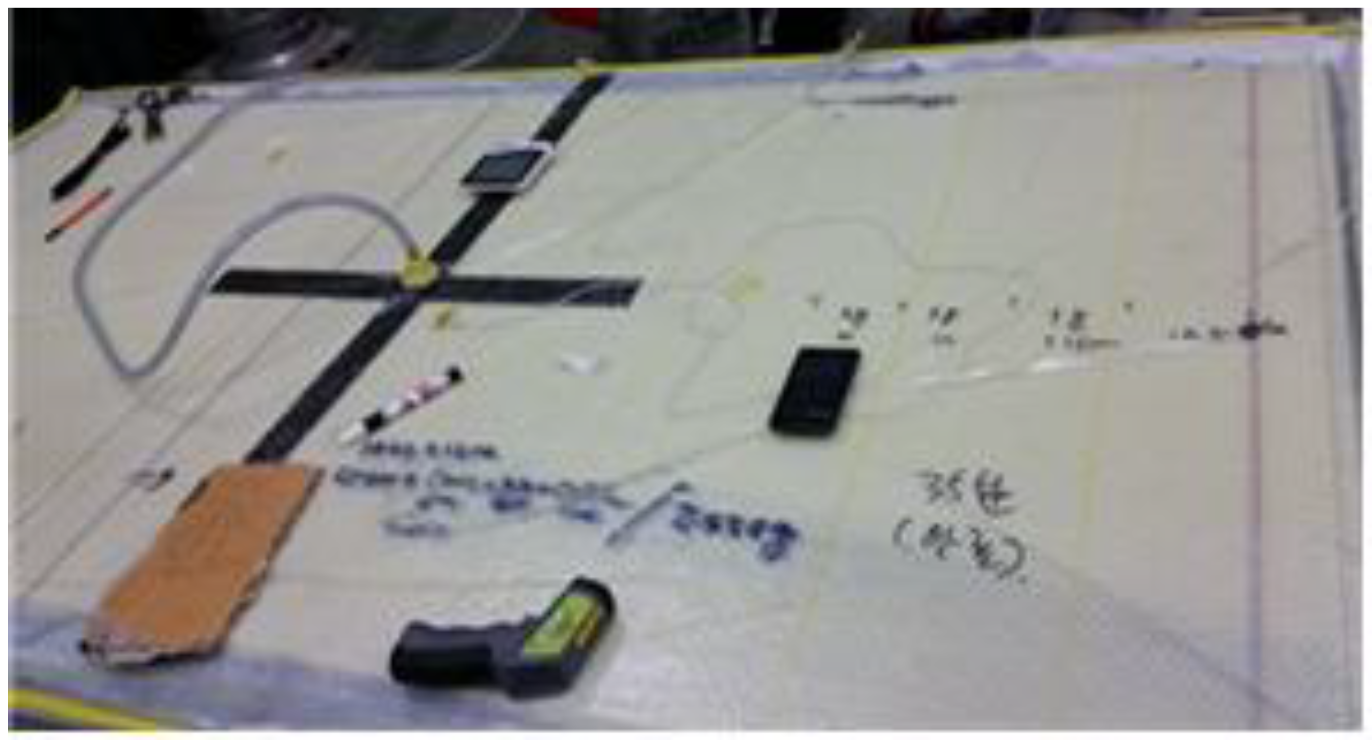 Preprints 150131 g012