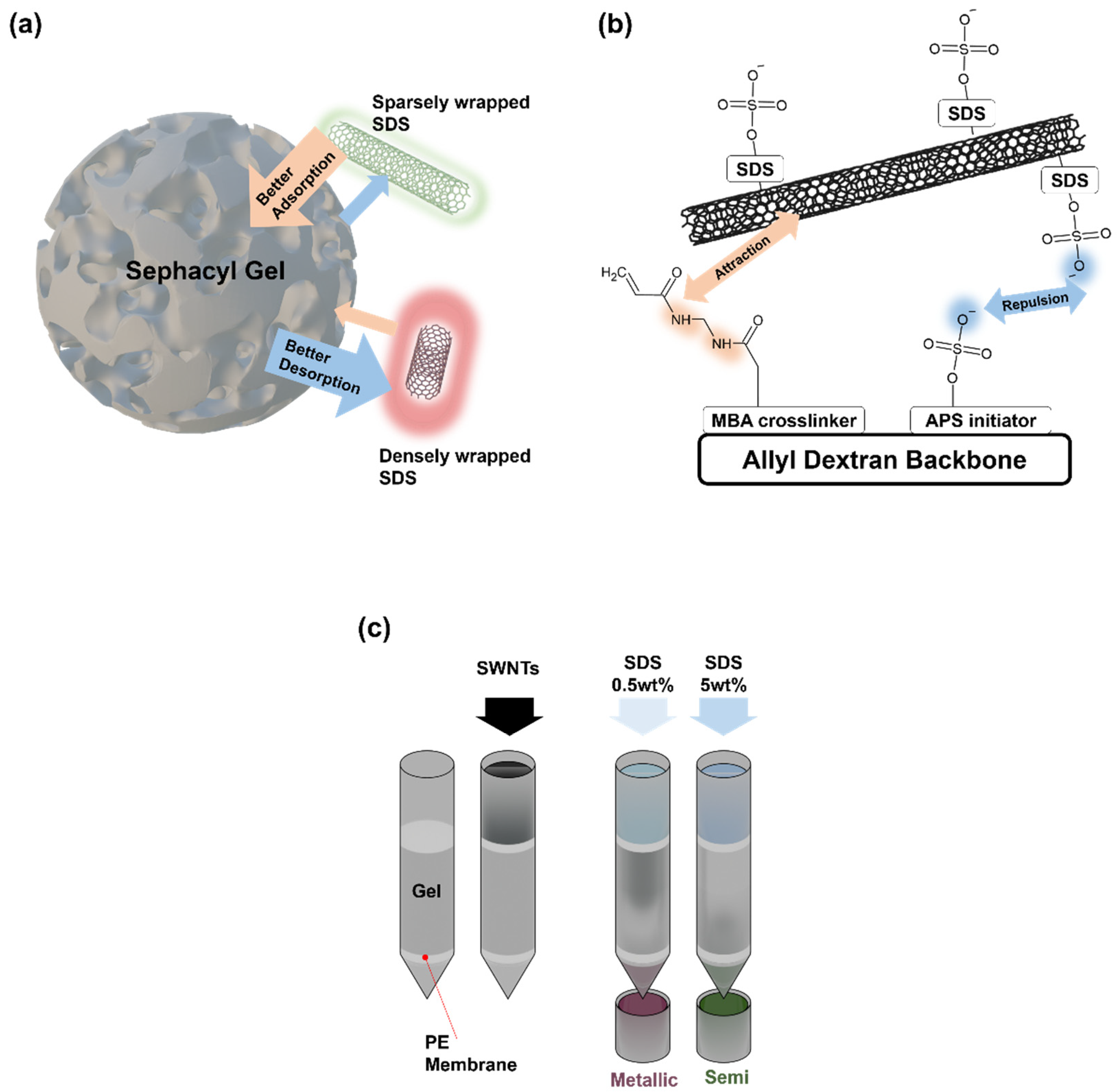 Preprints 141654 g002