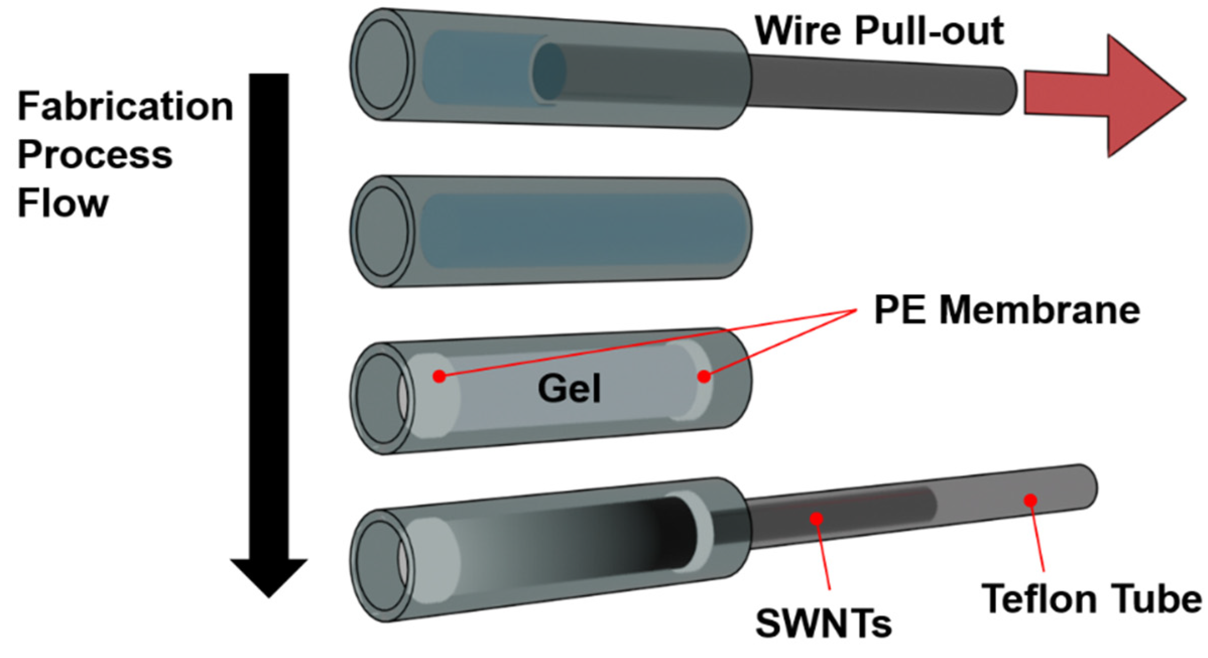 Preprints 141654 g003
