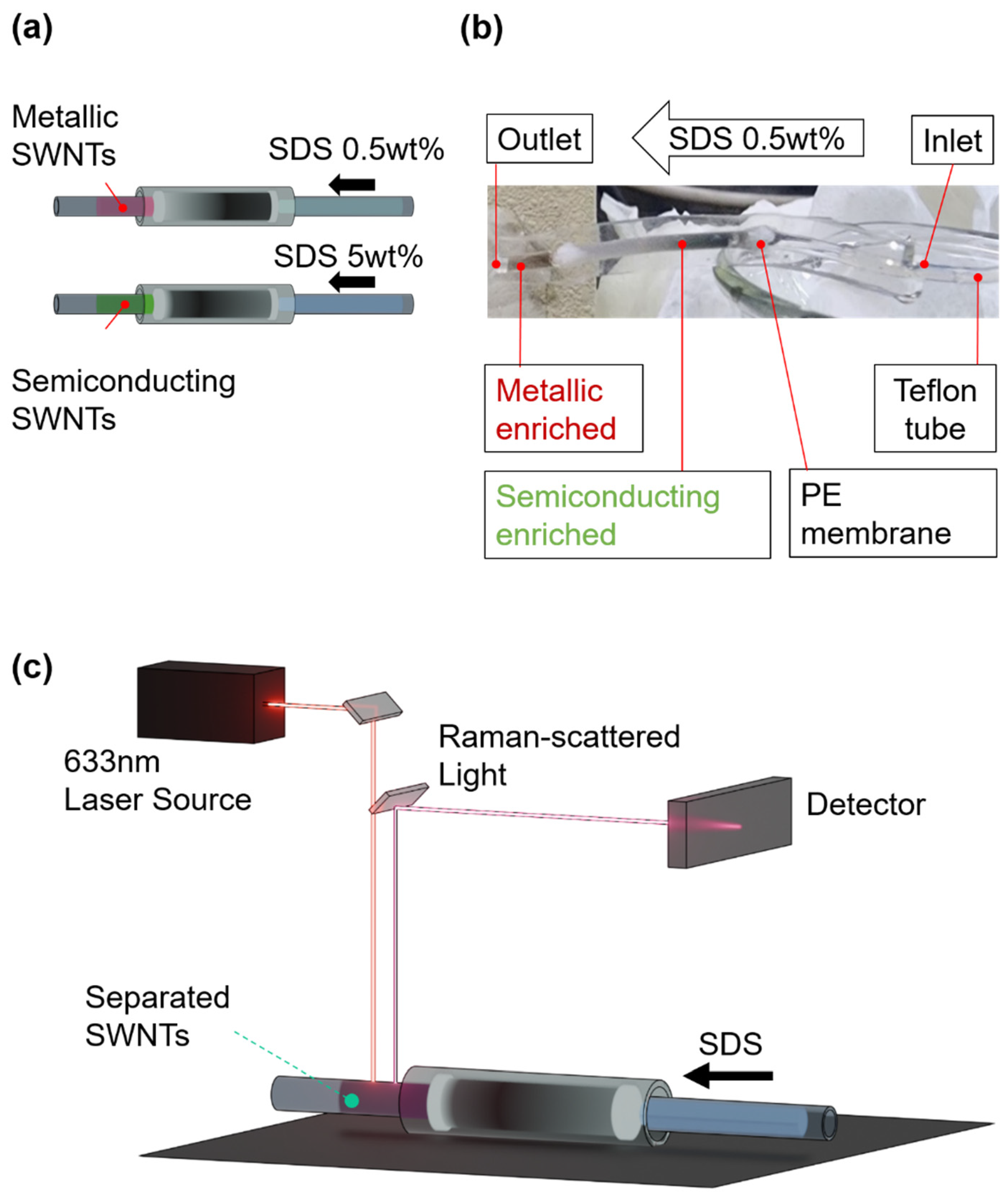 Preprints 141654 g004